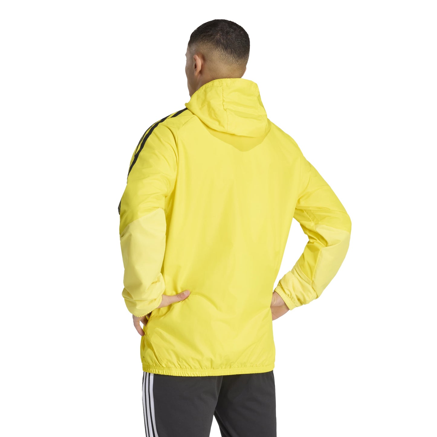 Team Yellow/Light Yellow/Black