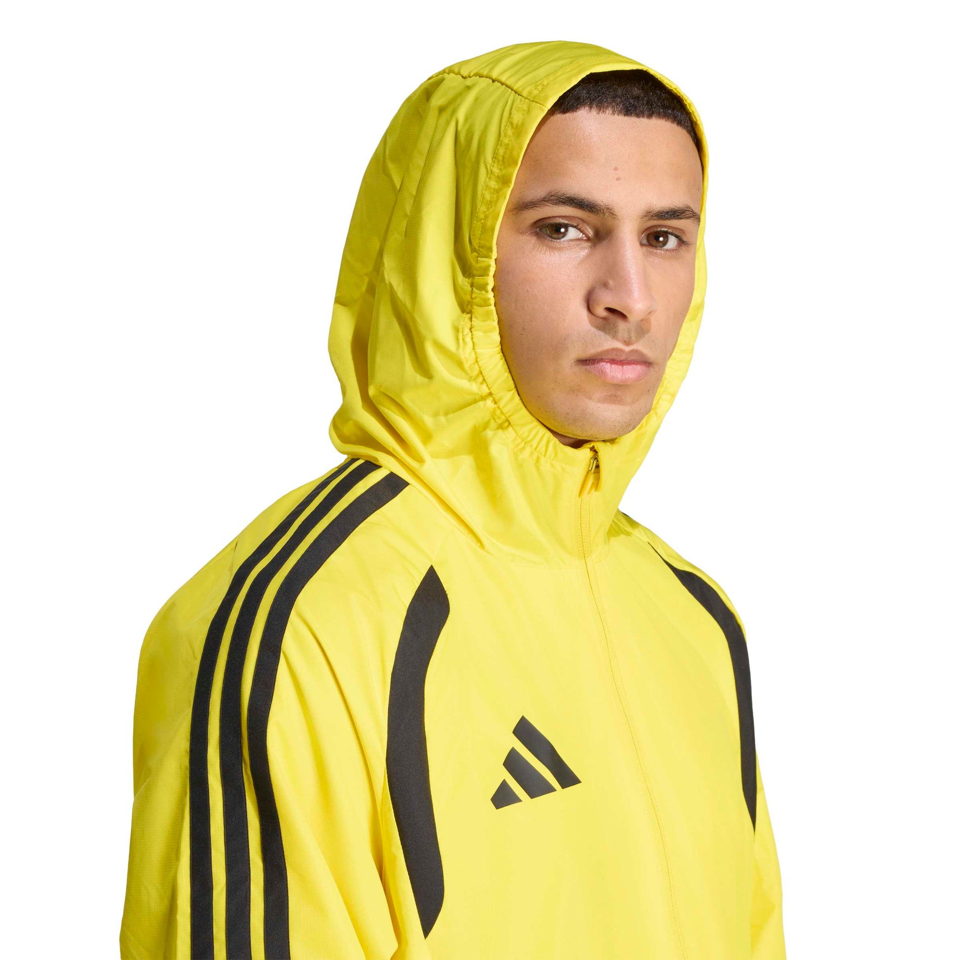 Team Yellow/Light Yellow/Black