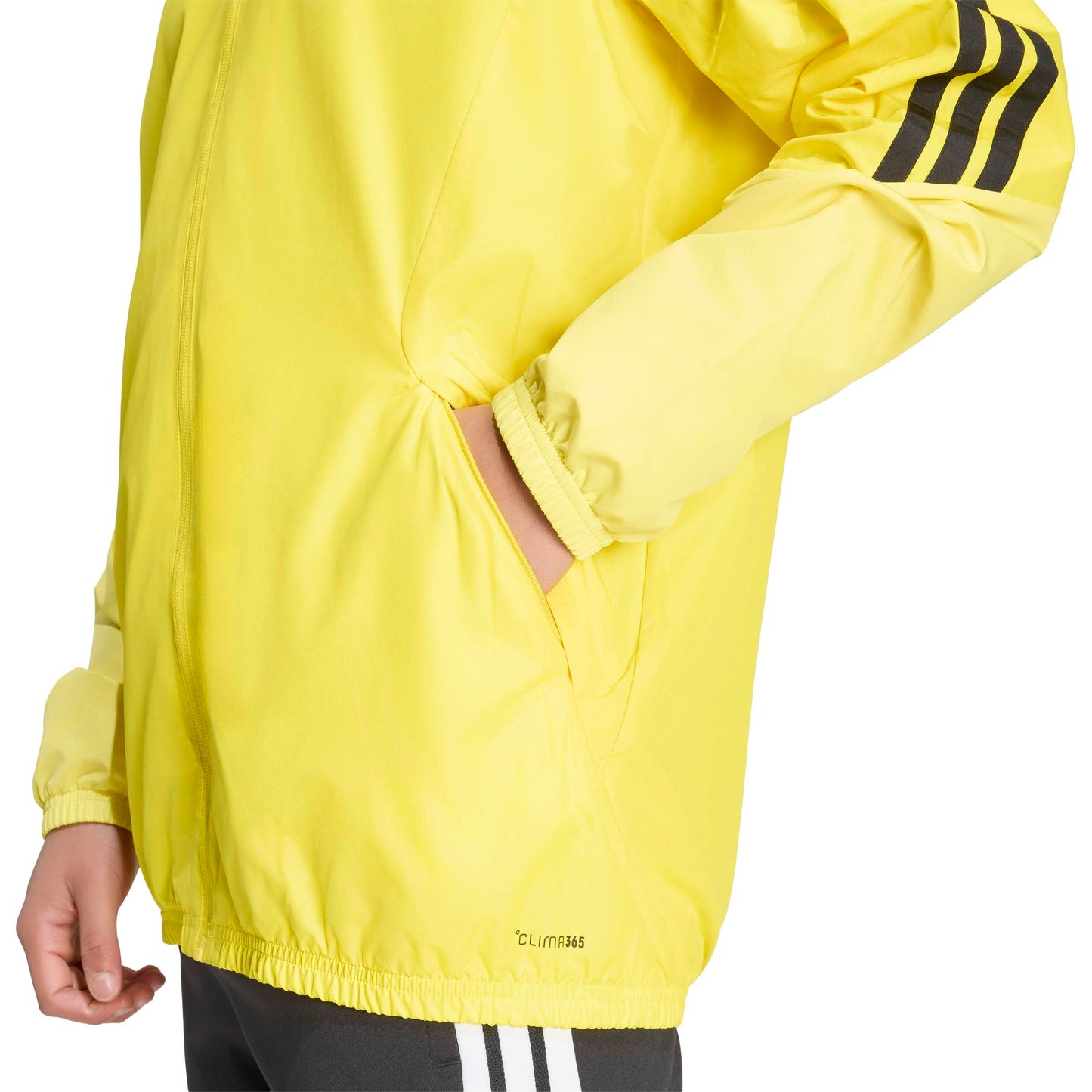 Team Yellow/Light Yellow/Black