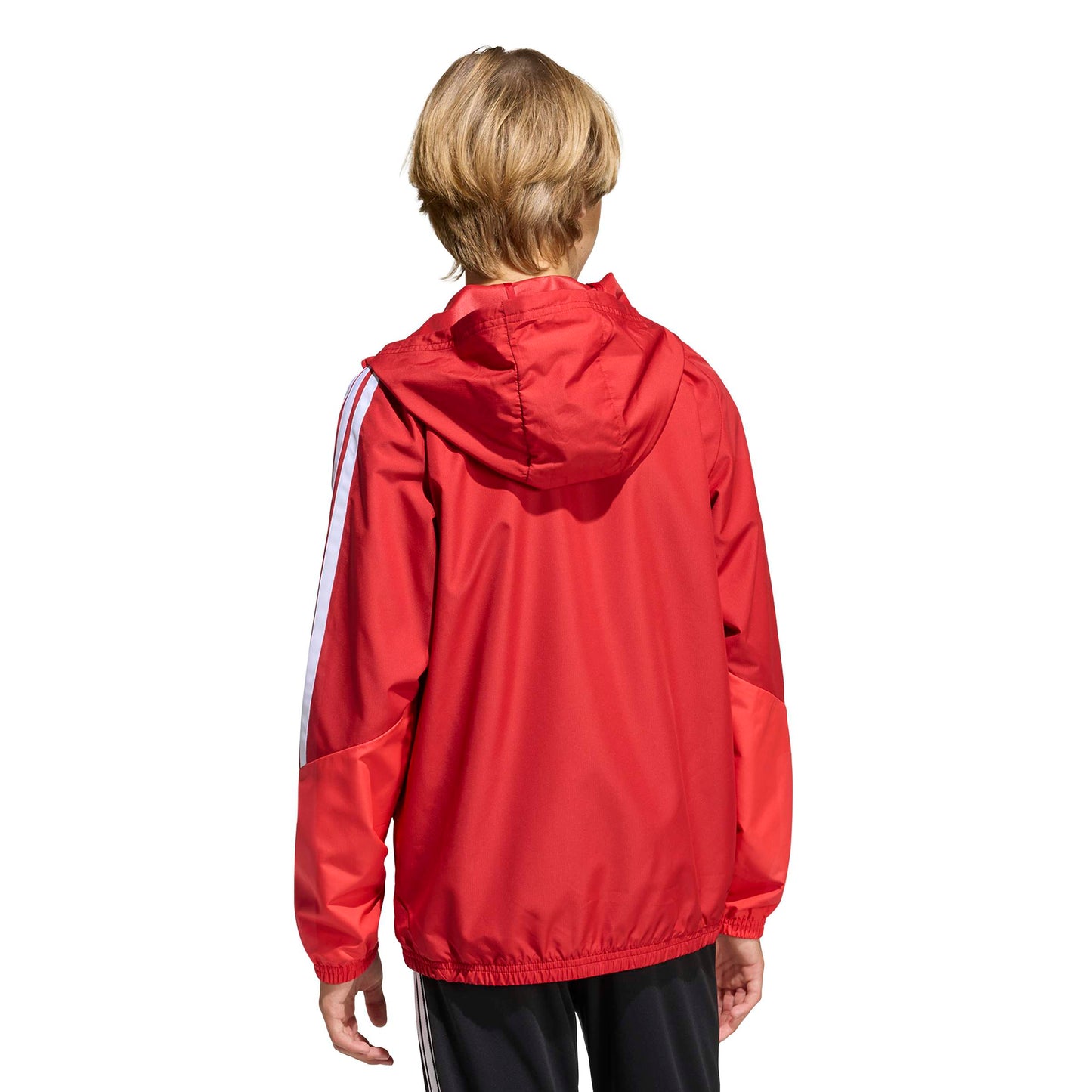 Team Power Red 2/Semi Lucid Red/White