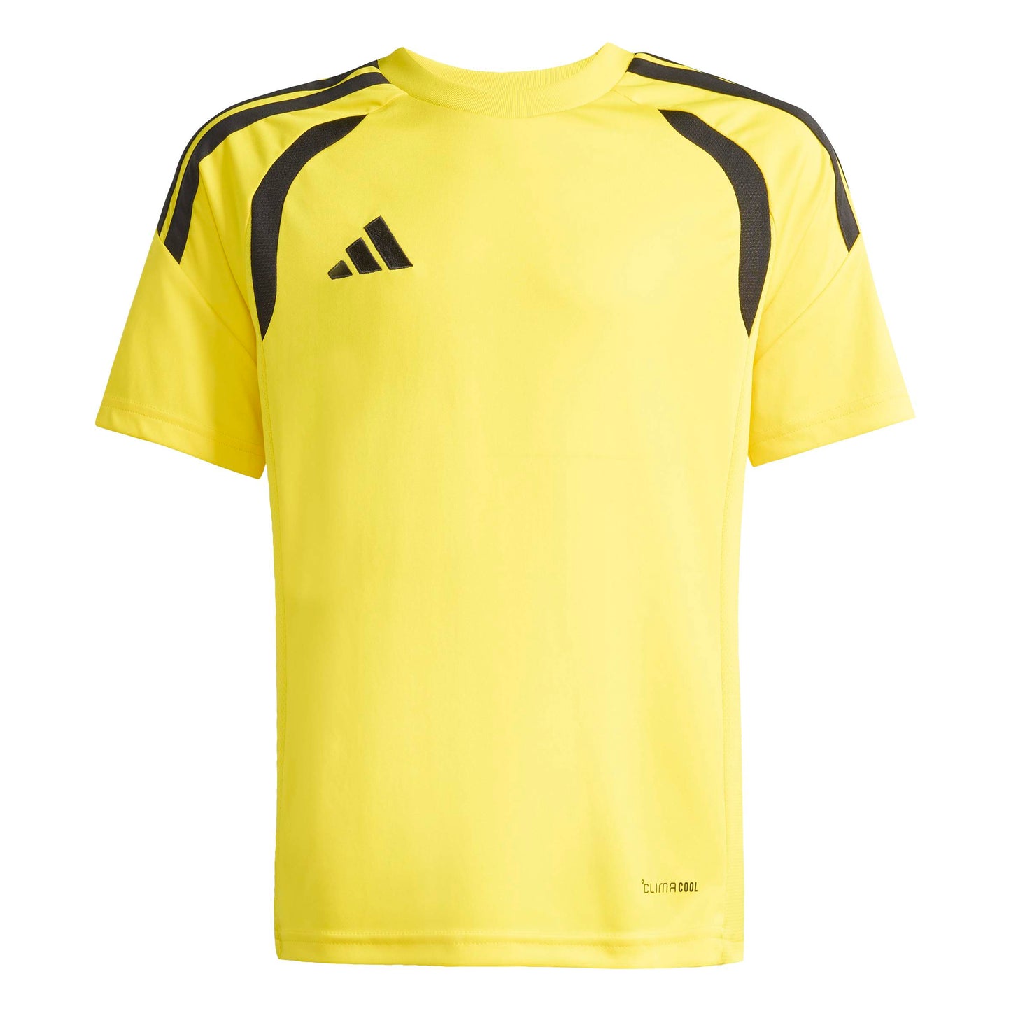 Team Yellow/Black