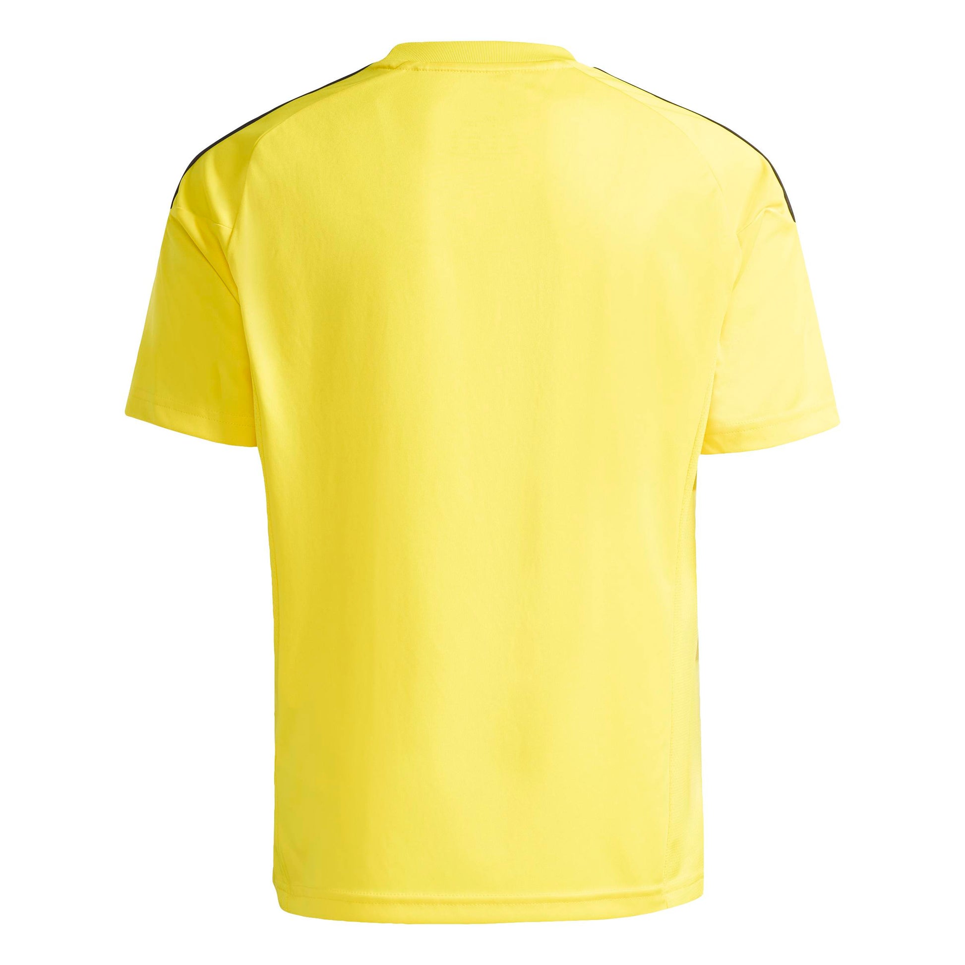 Team Yellow/Black