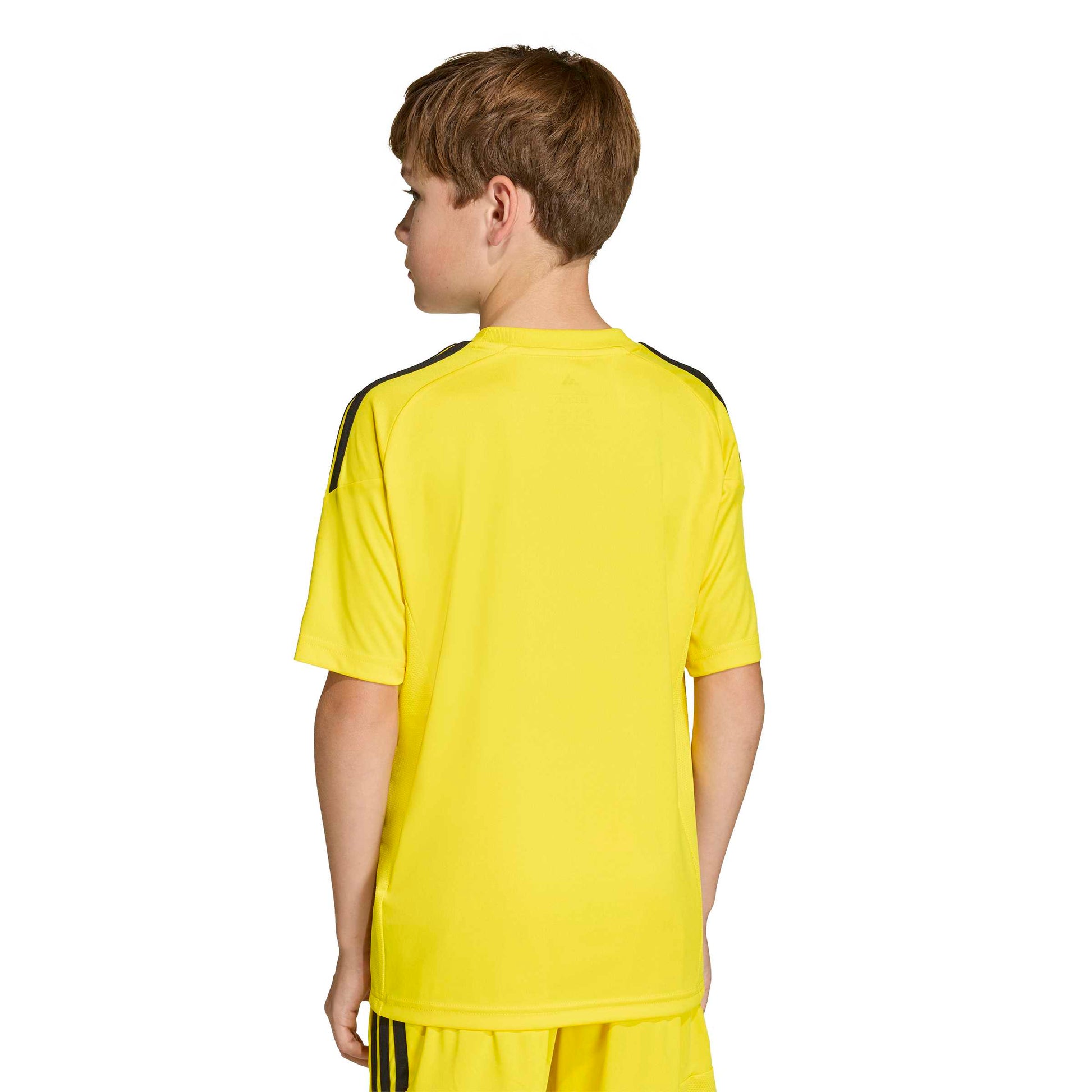 Team Yellow/Black
