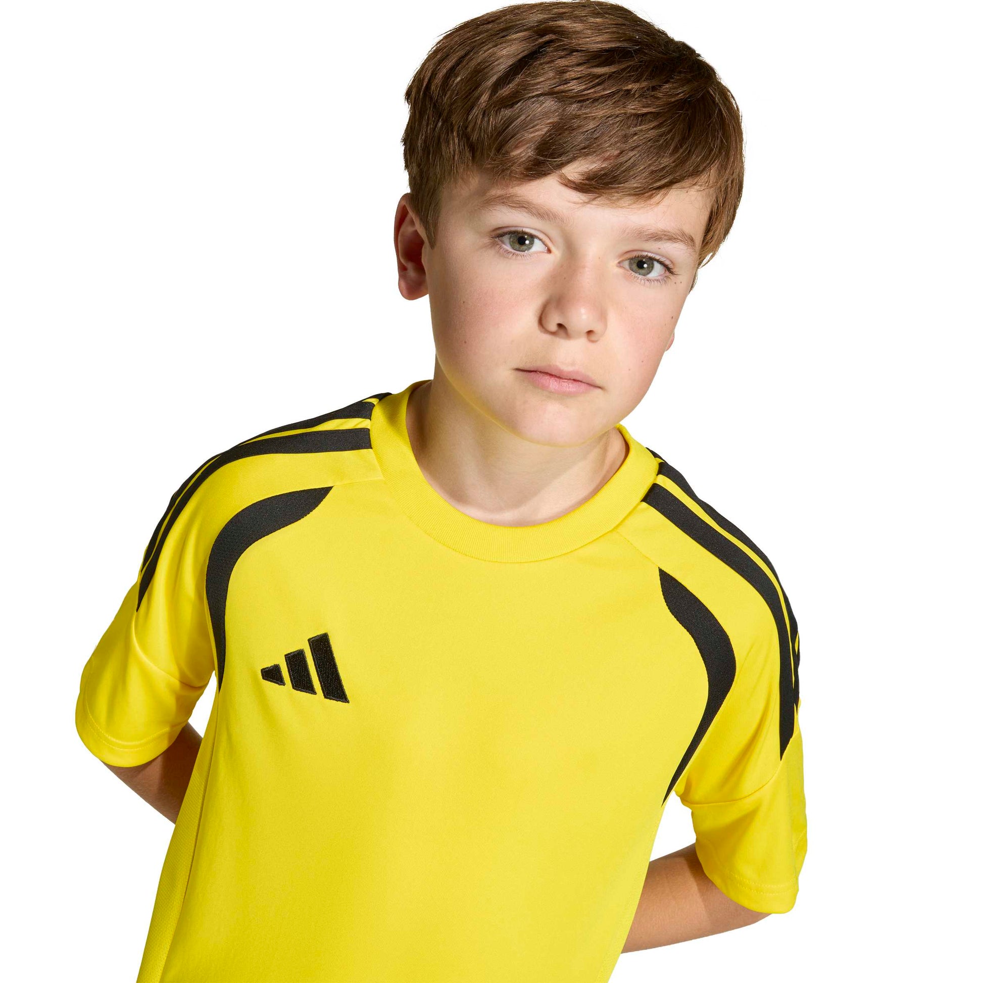 Team Yellow/Black