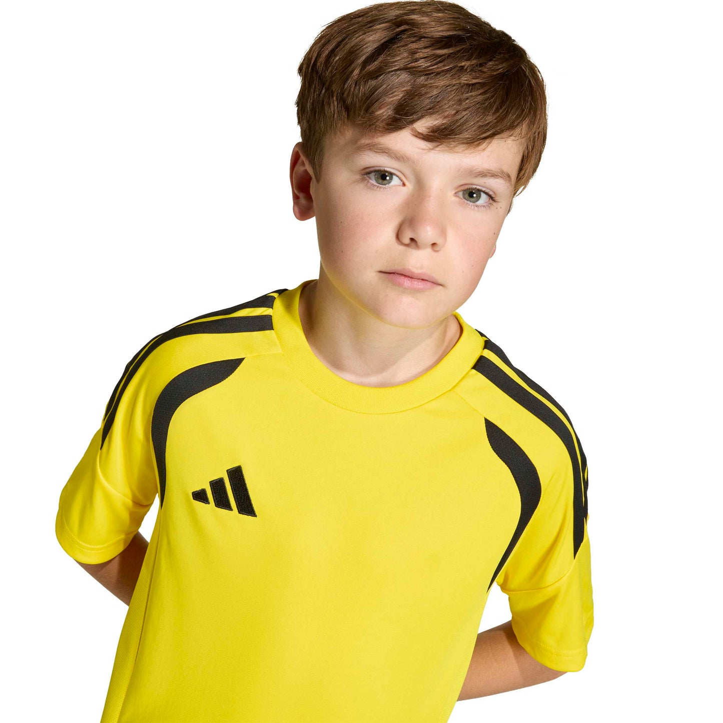 Team Yellow/Black
