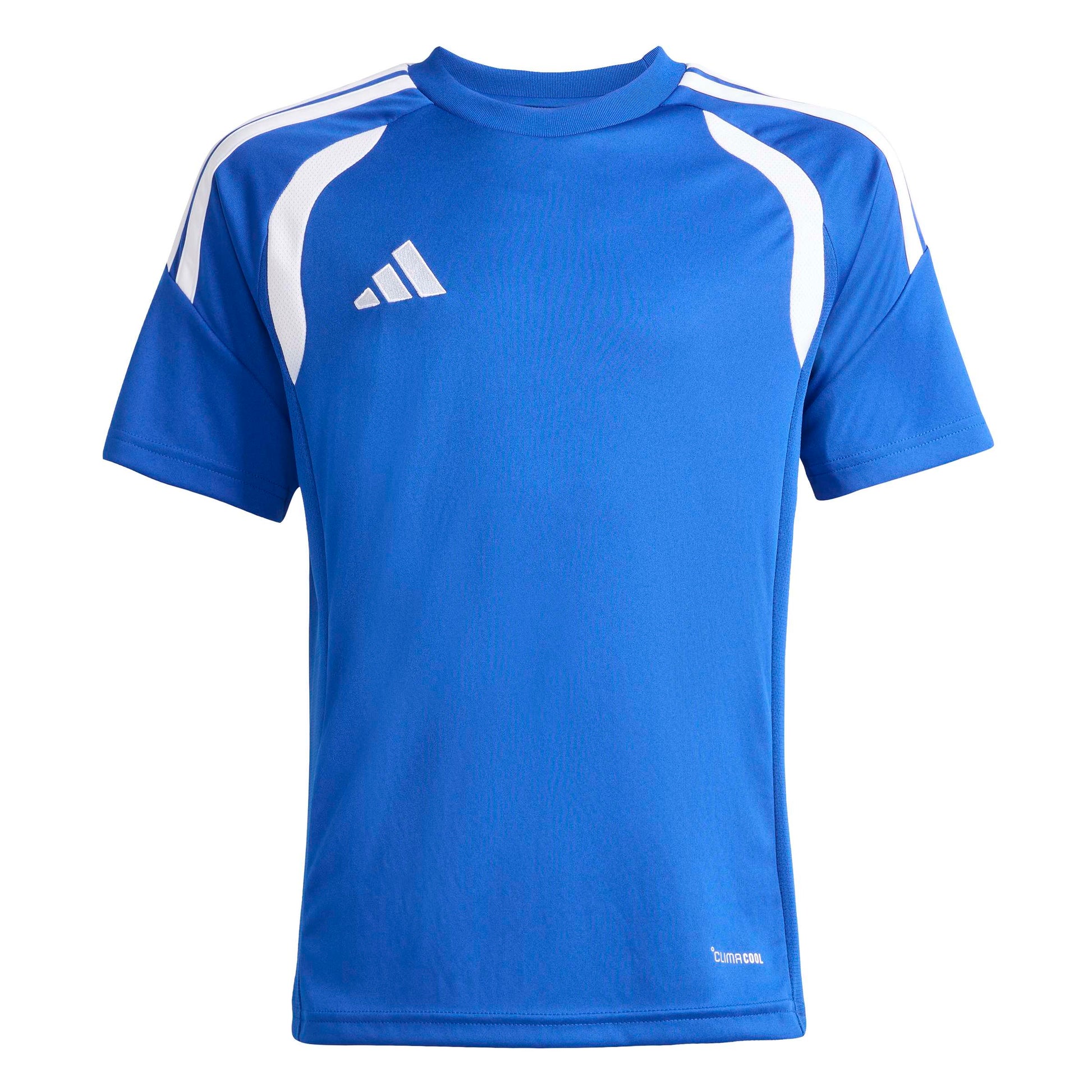Team Royal Blue/White