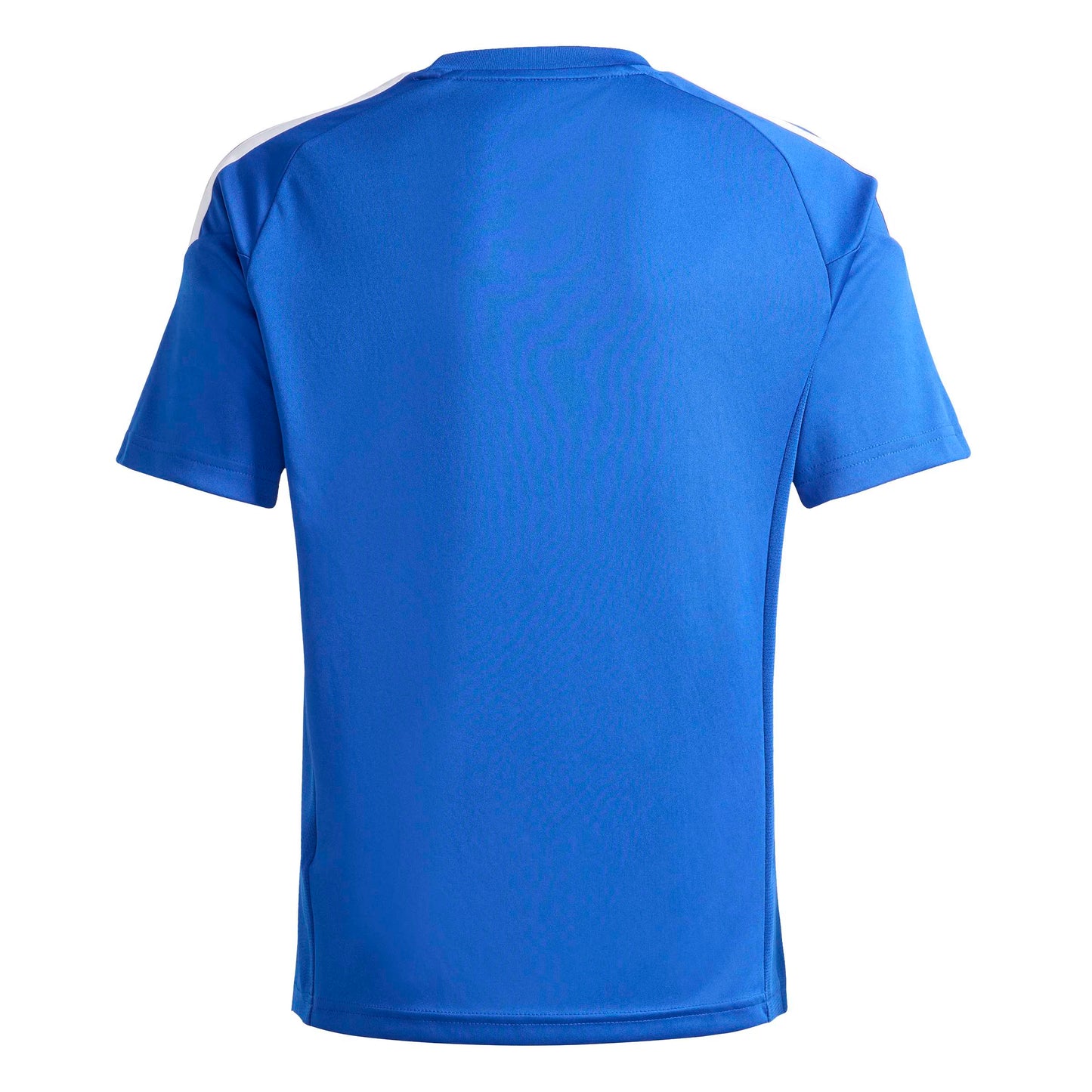 Team Royal Blue/White