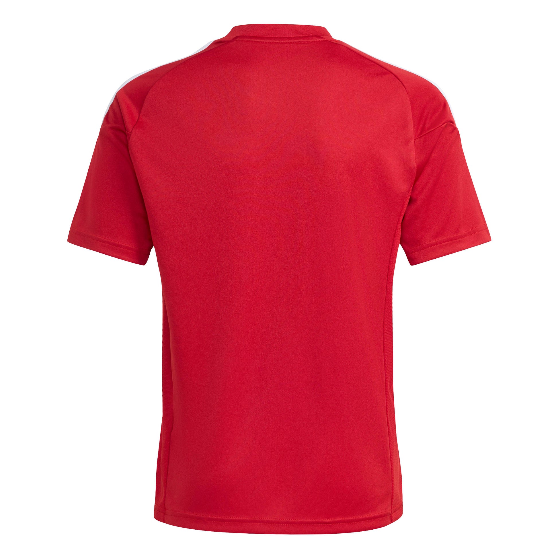 Team Power Red 2/White
