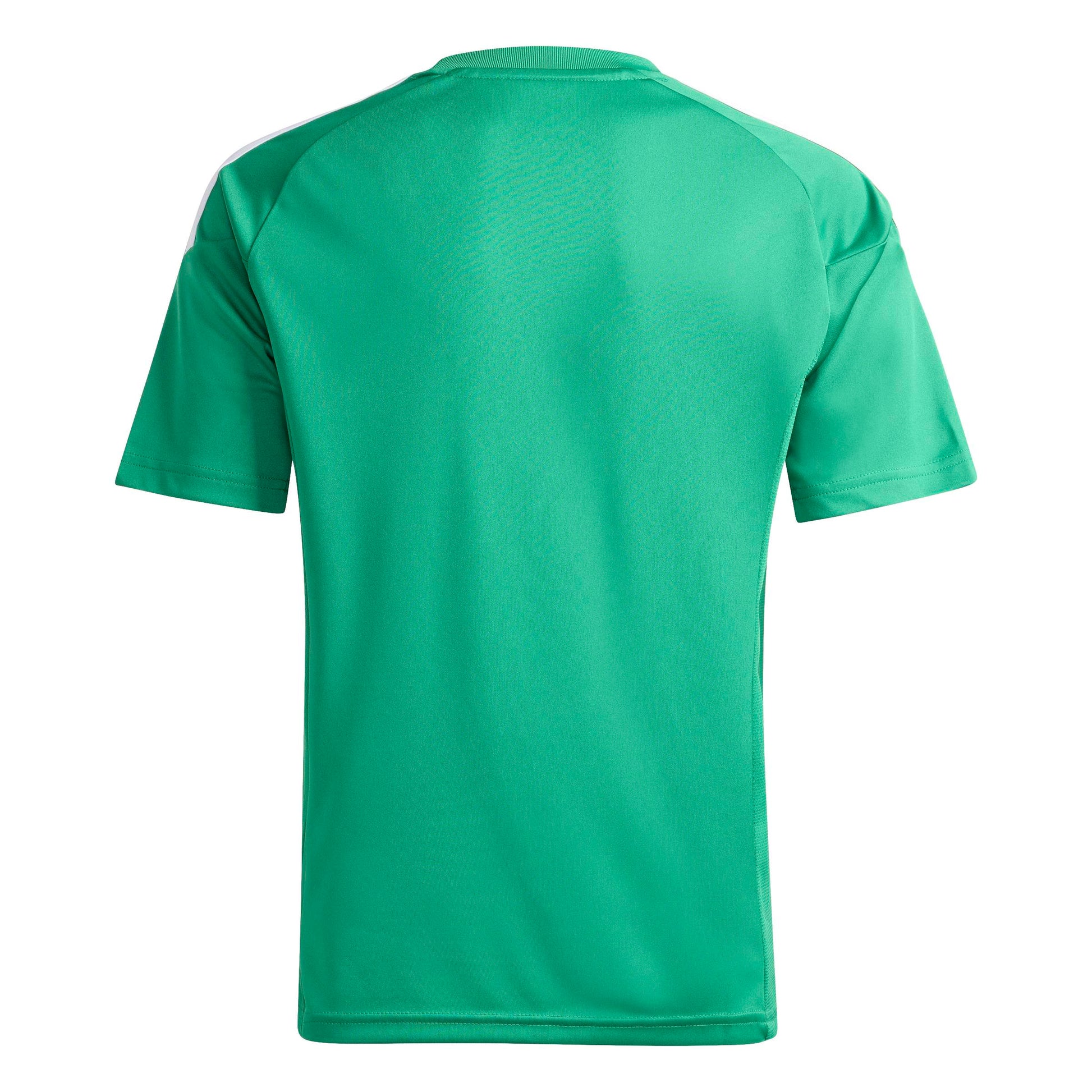 Team Green/White