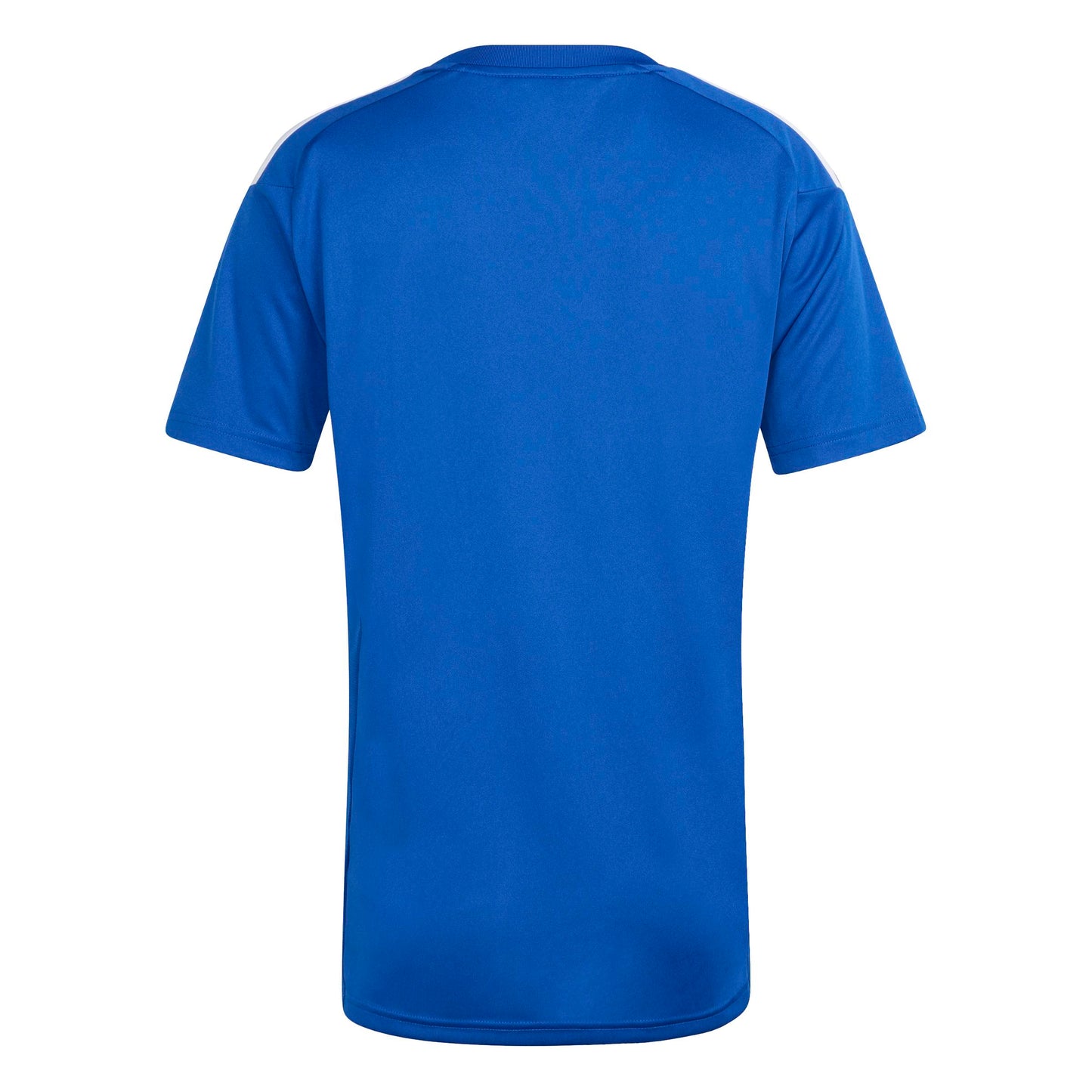 Team Royal Blue/White