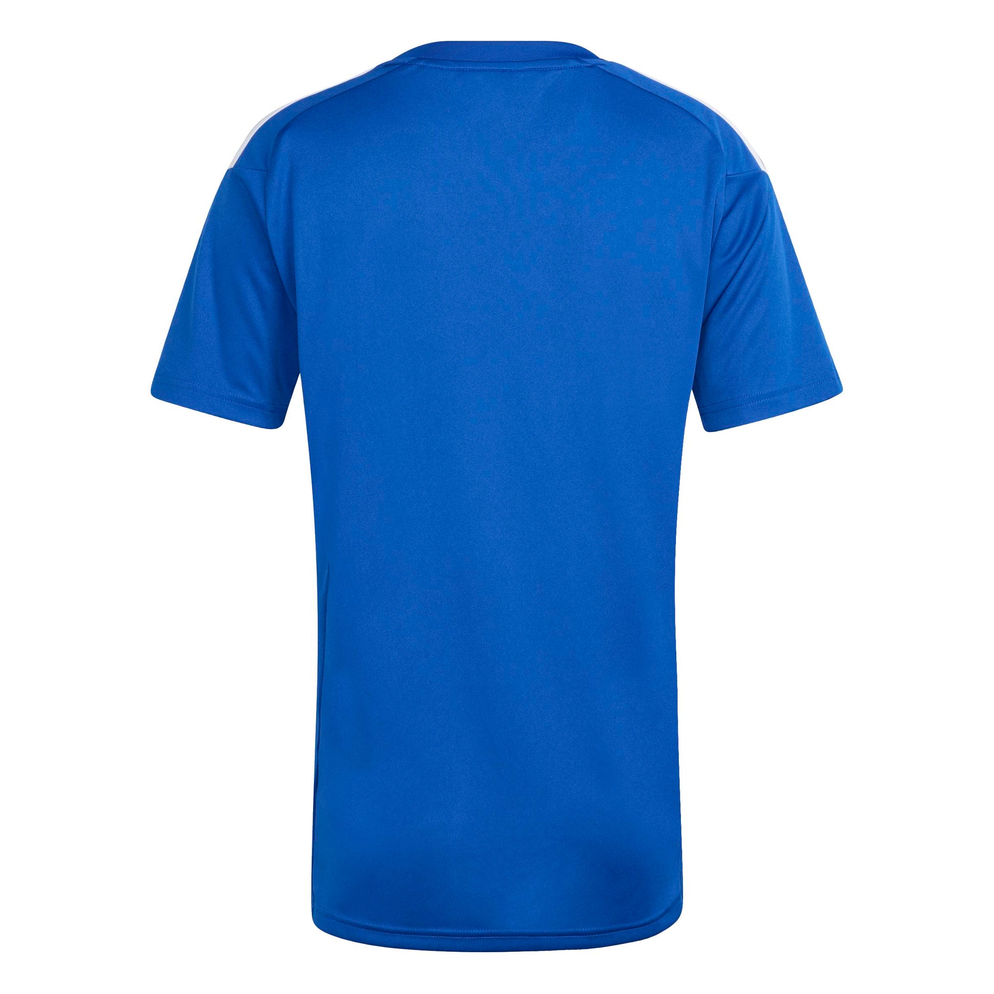 Team Royal Blue/White