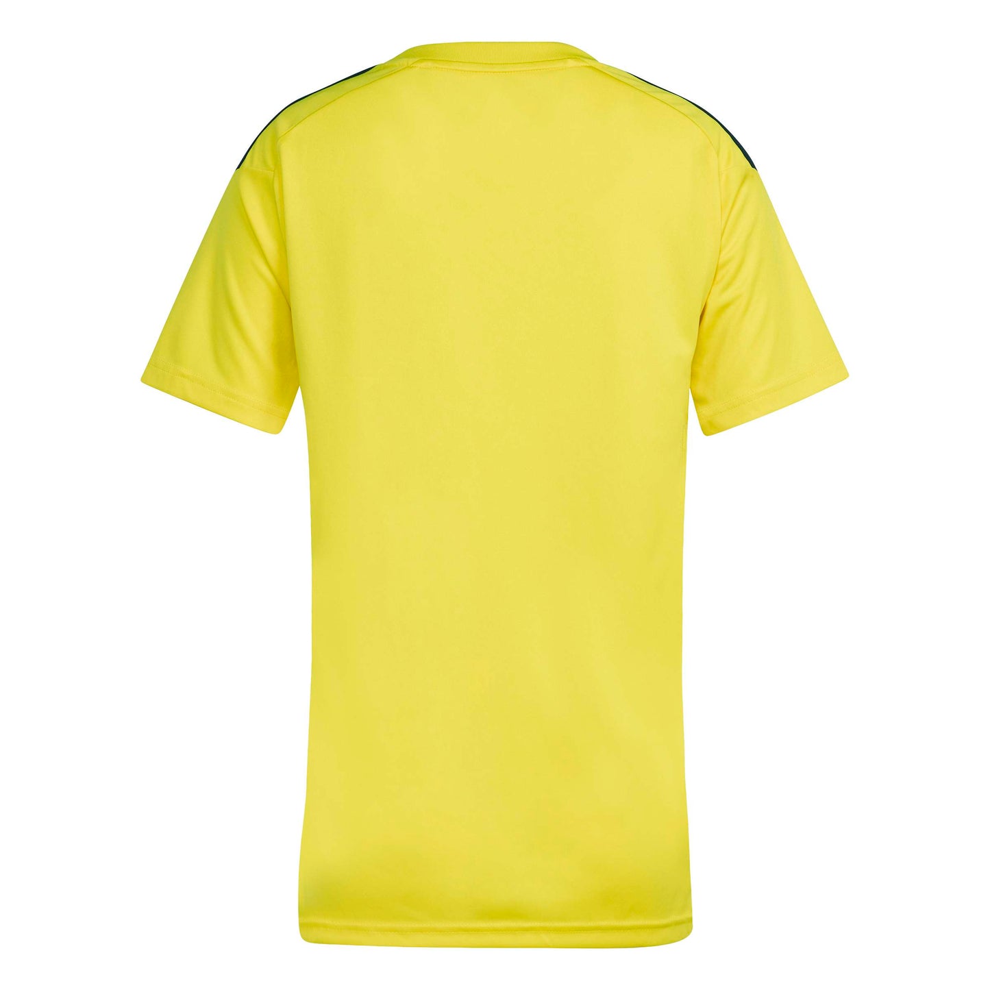 Team Yellow/Black