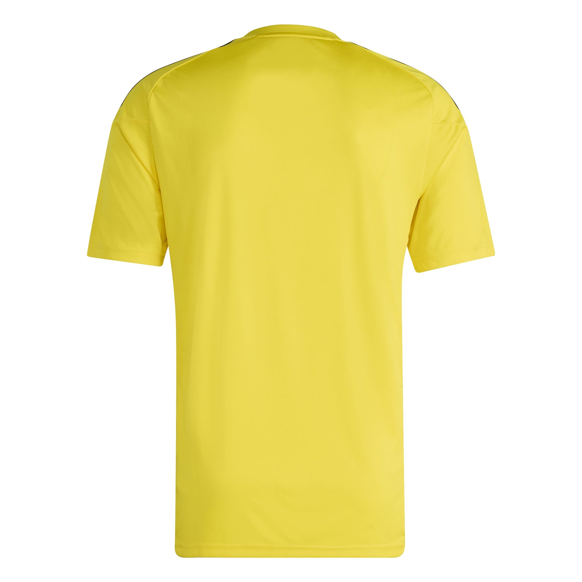 Team Yellow/Black