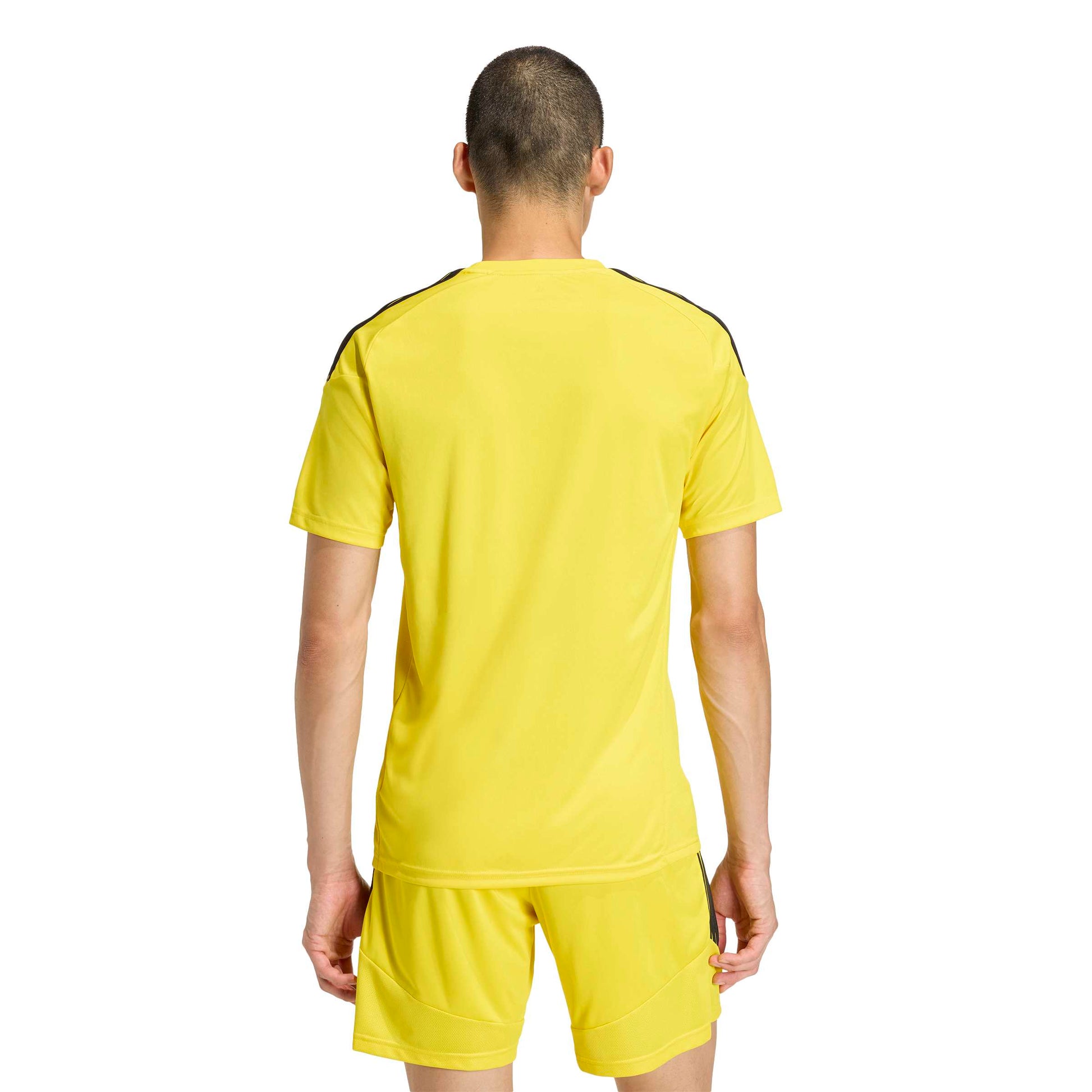 Team Yellow/Black