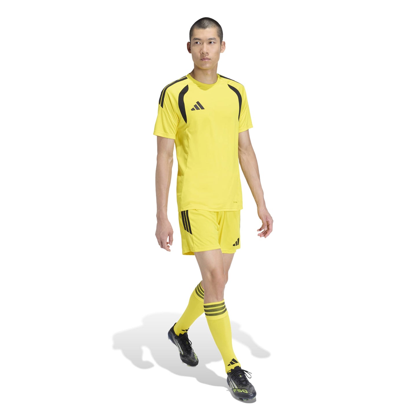 Team Yellow/Black