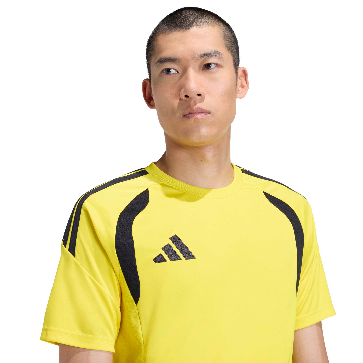 Team Yellow/Black