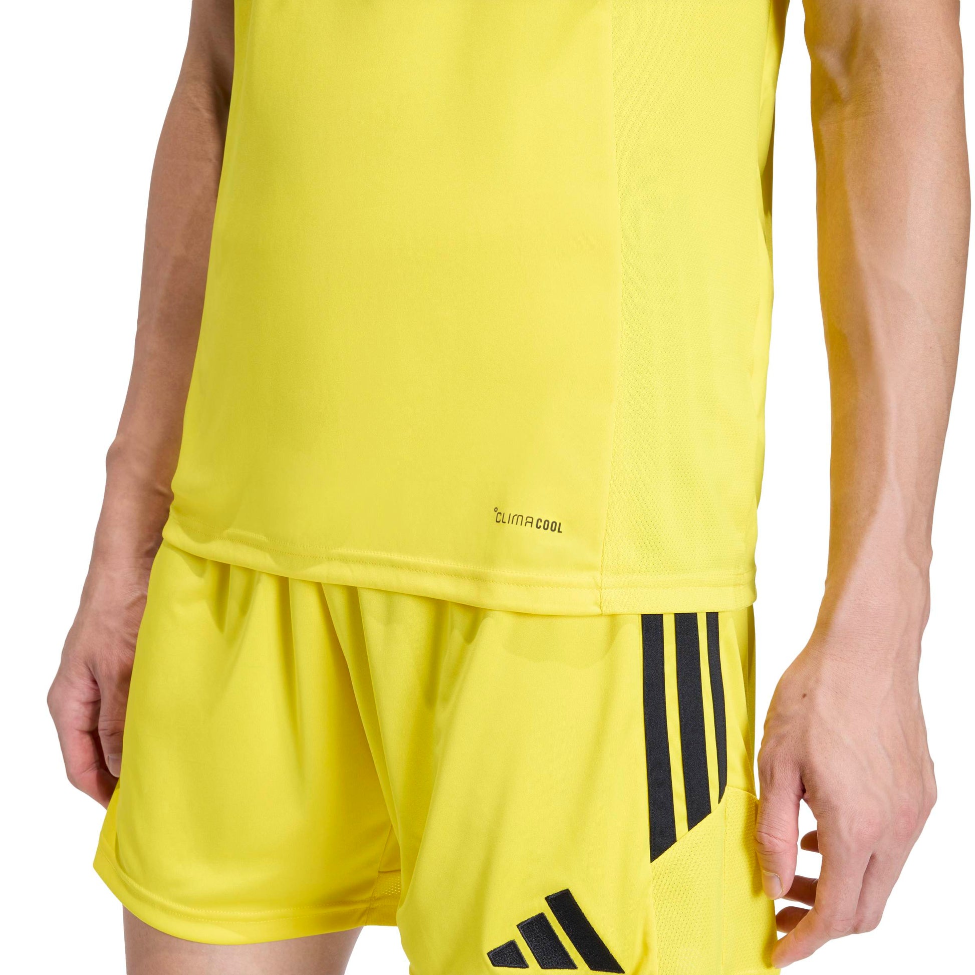 Team Yellow/Black