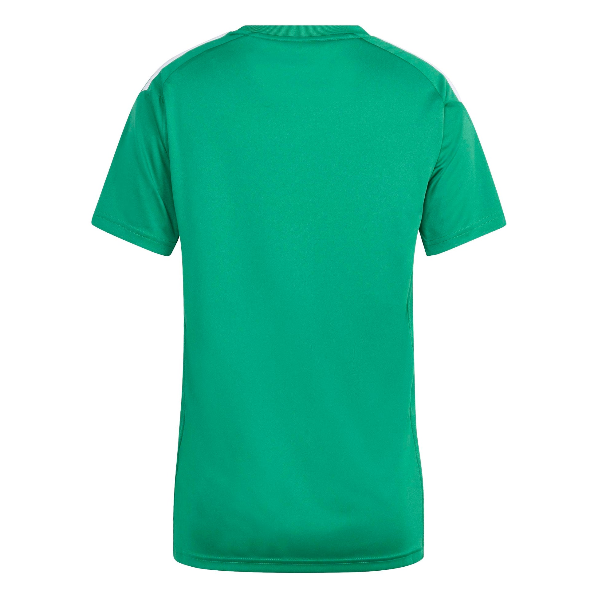 Team Green/White