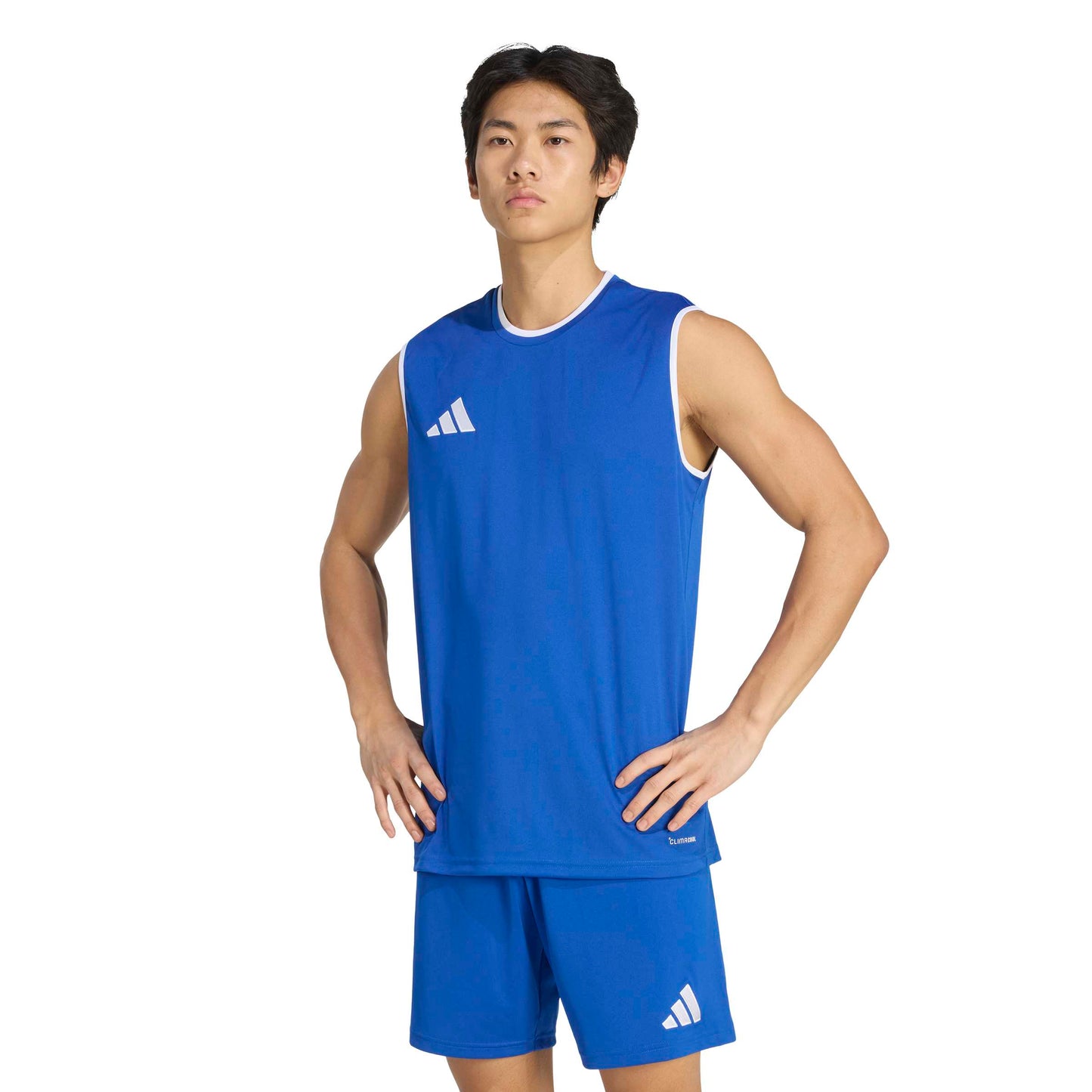 Team Royal Blue/White