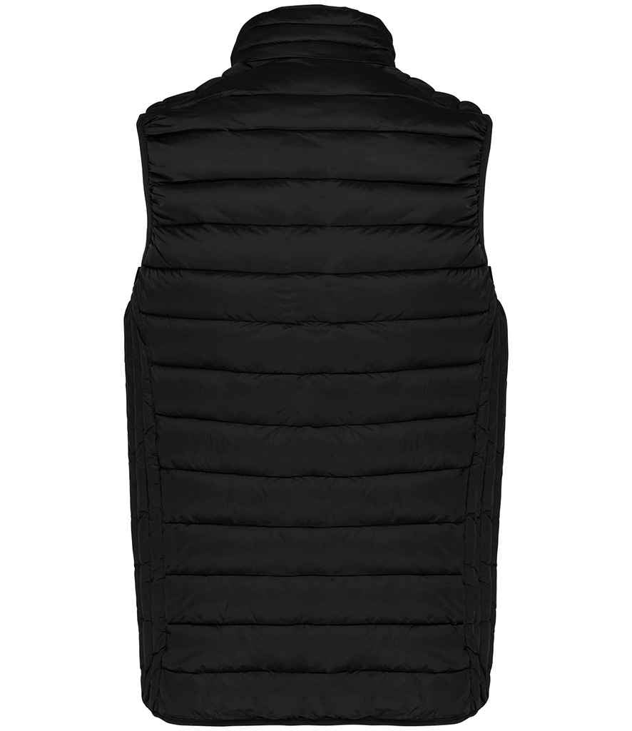 KB6113 Black Back