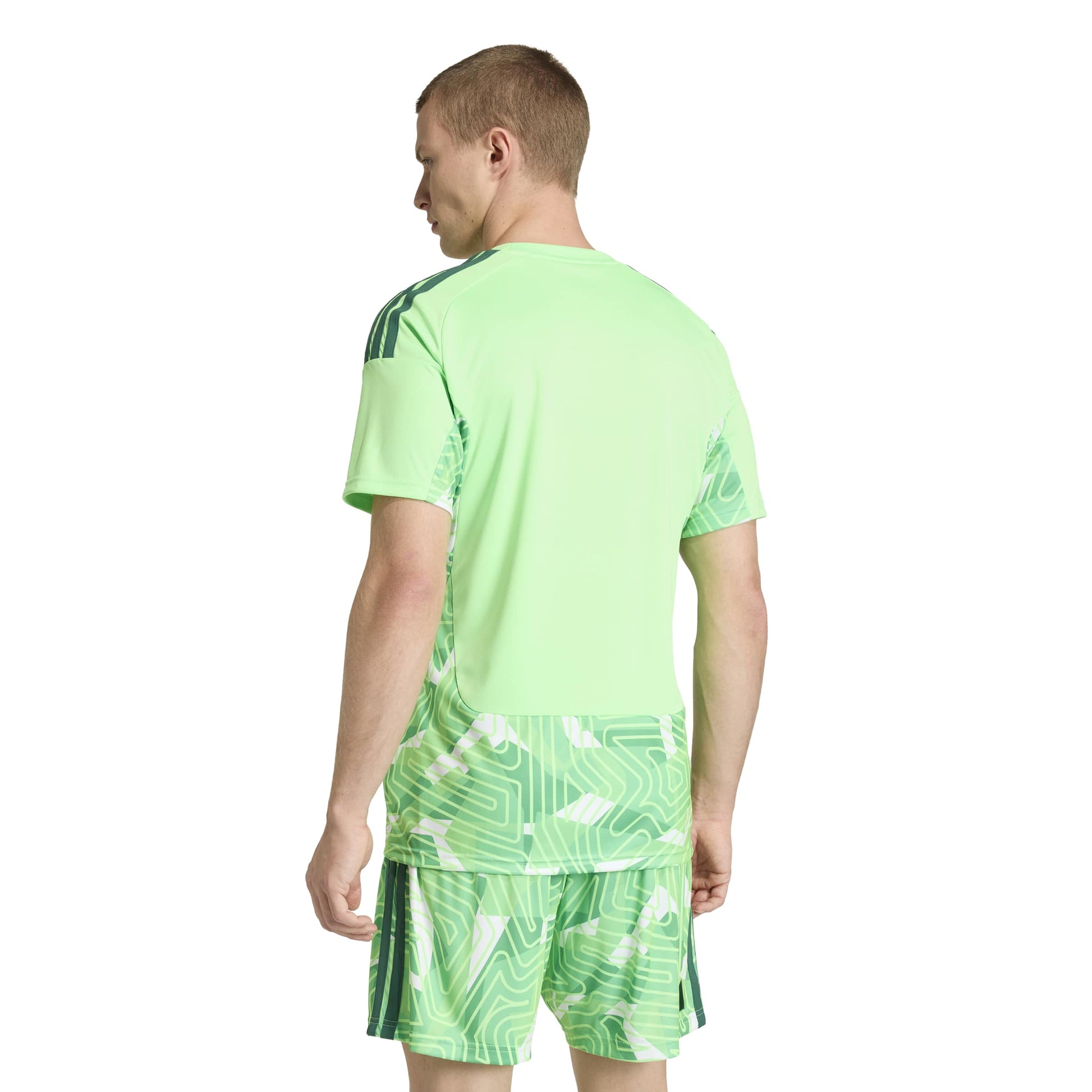 Lime Burst