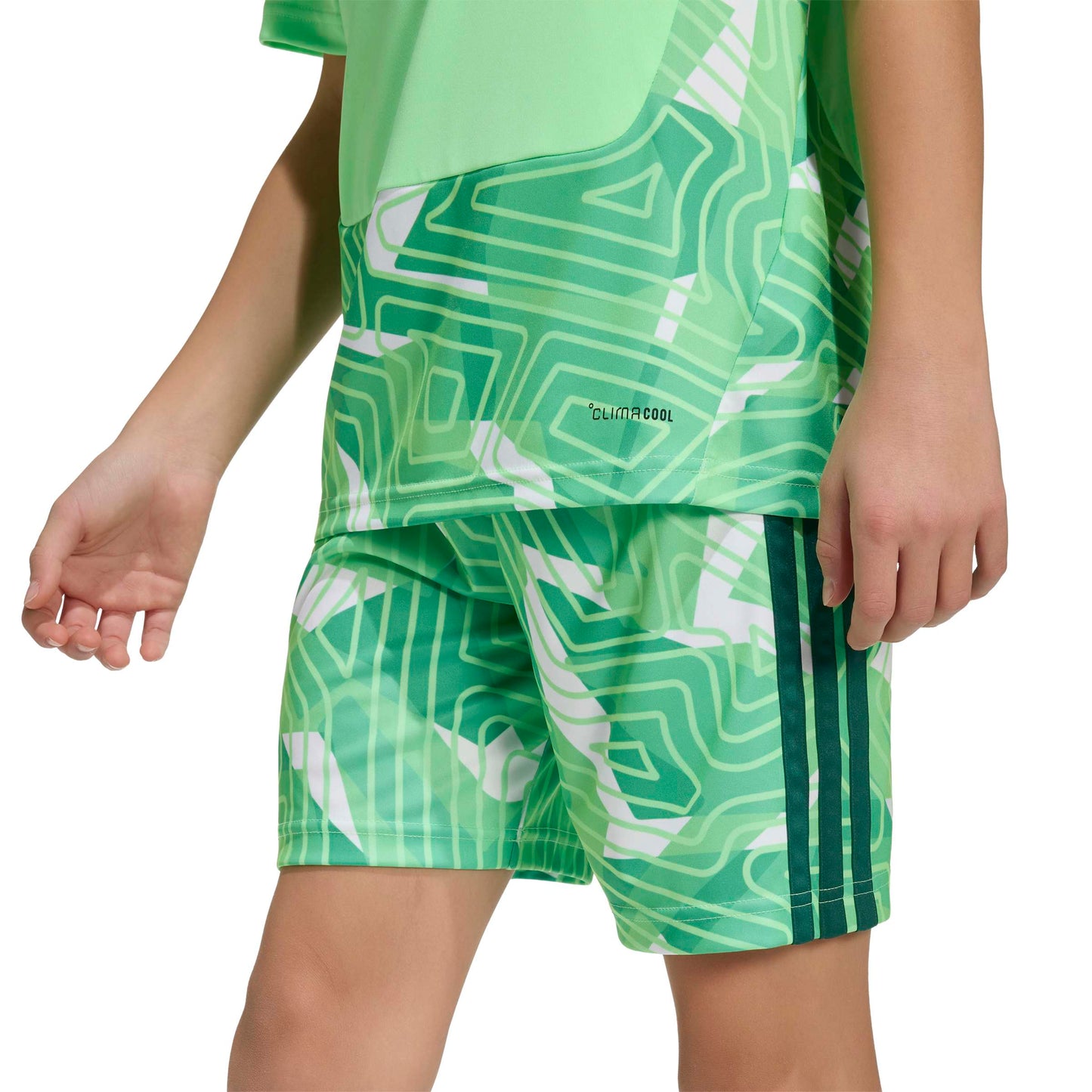Lime Burst