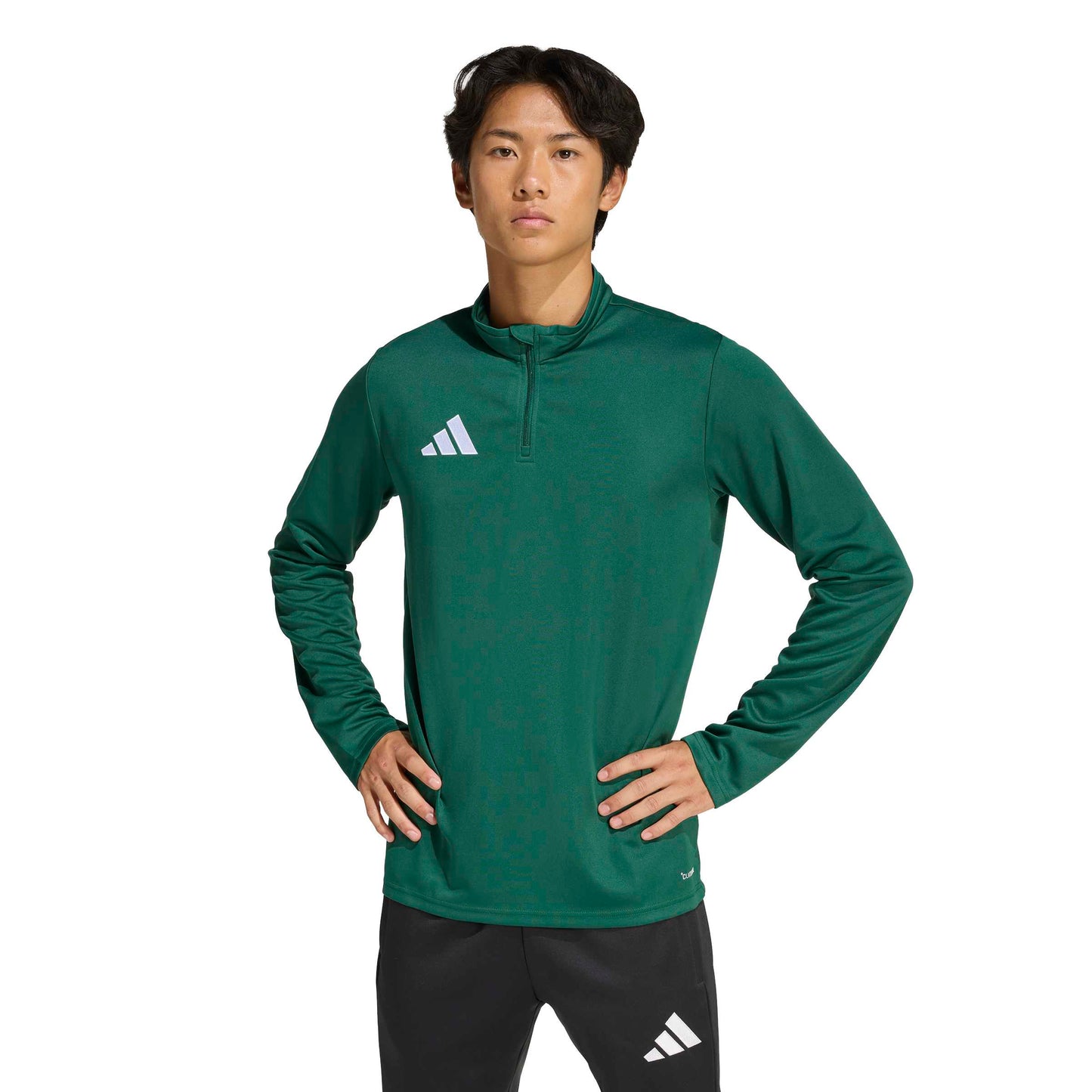 Team Dark Green/White