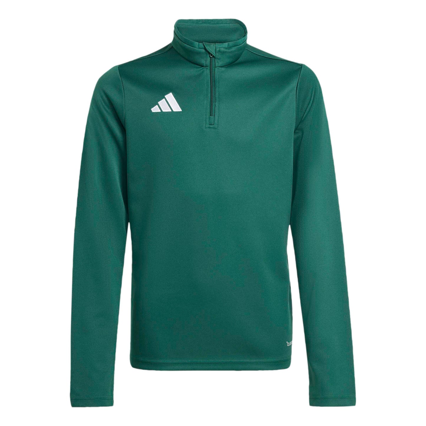 Team Dark Green/White