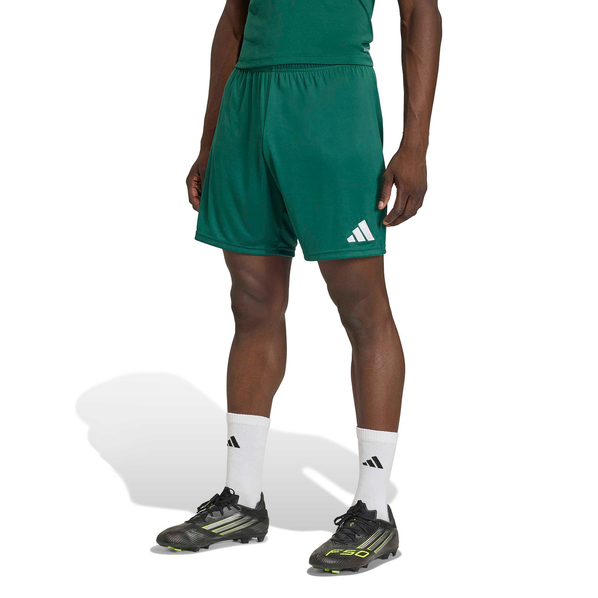 Team Dark Green/White