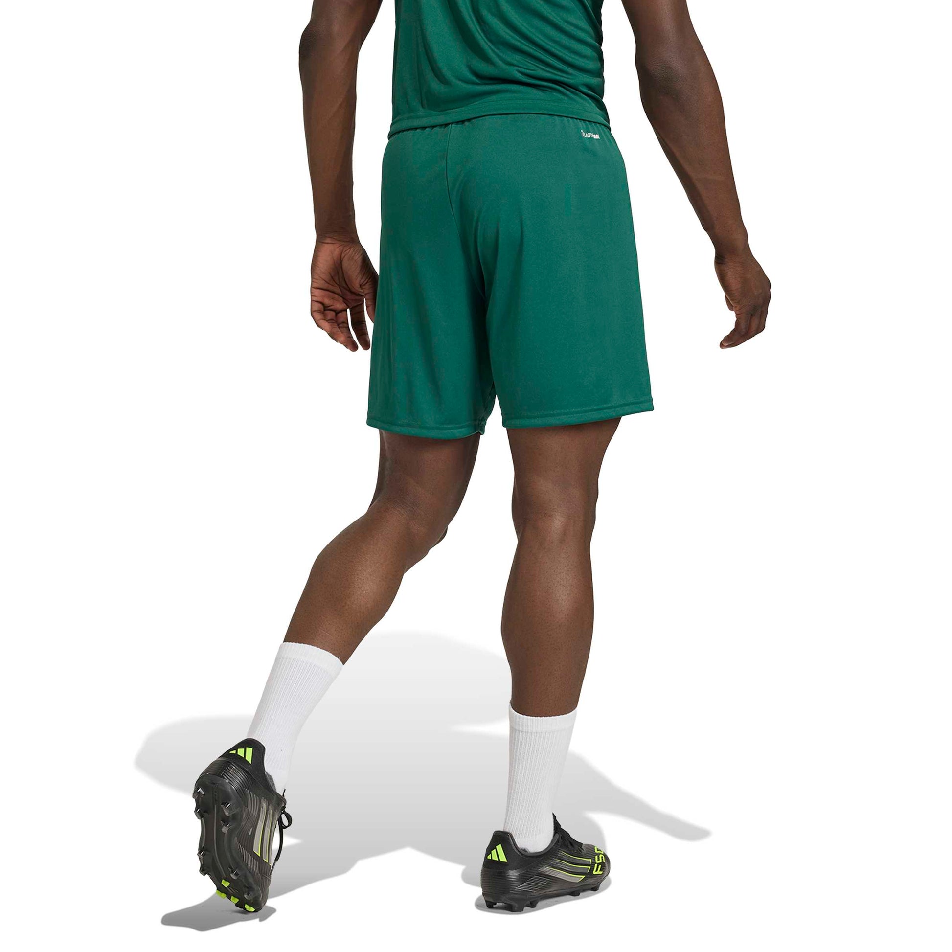 Team Dark Green/White