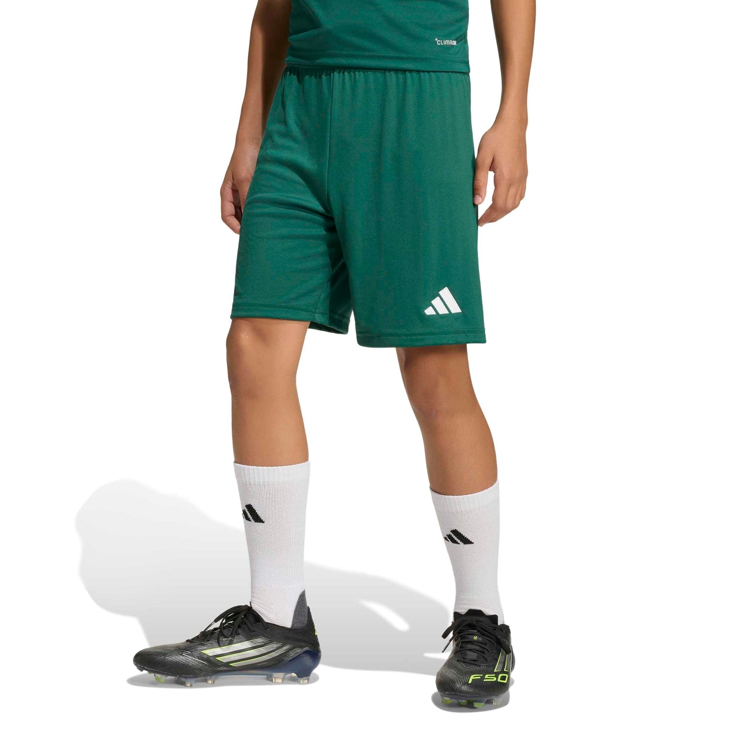 Team Dark Green/White