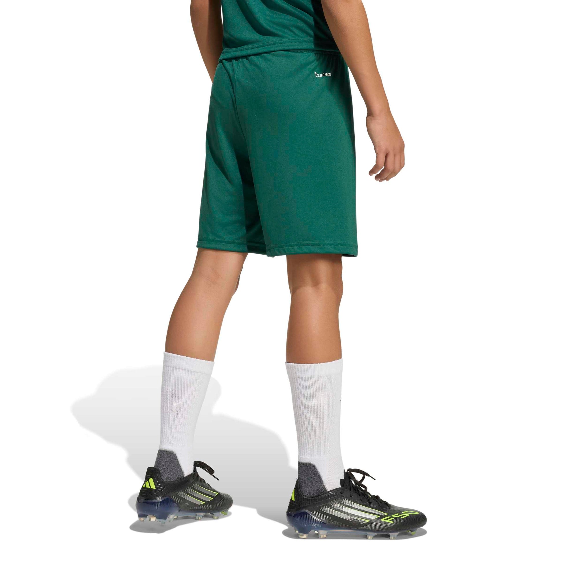 Team Dark Green/White