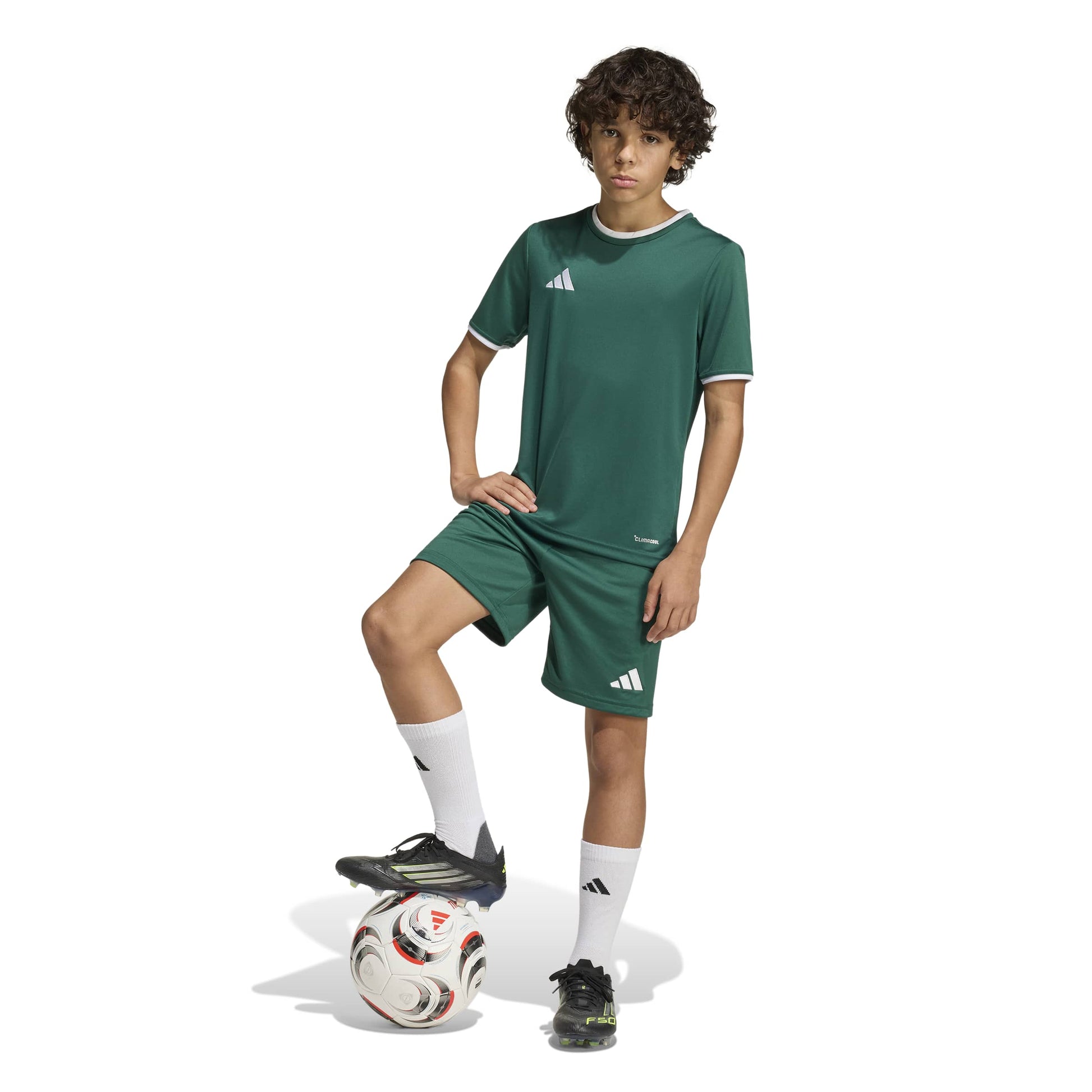 Team Dark Green/White