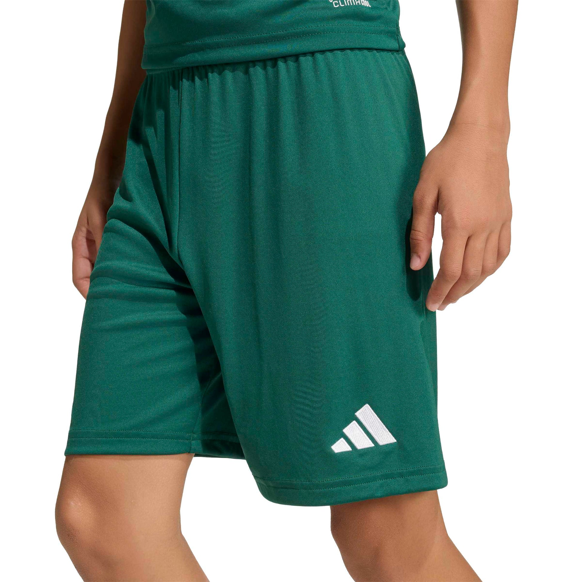 Team Dark Green/White
