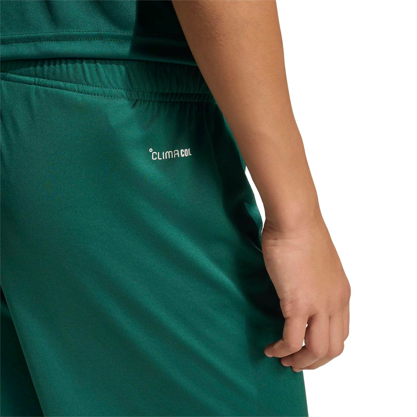 Team Dark Green/White