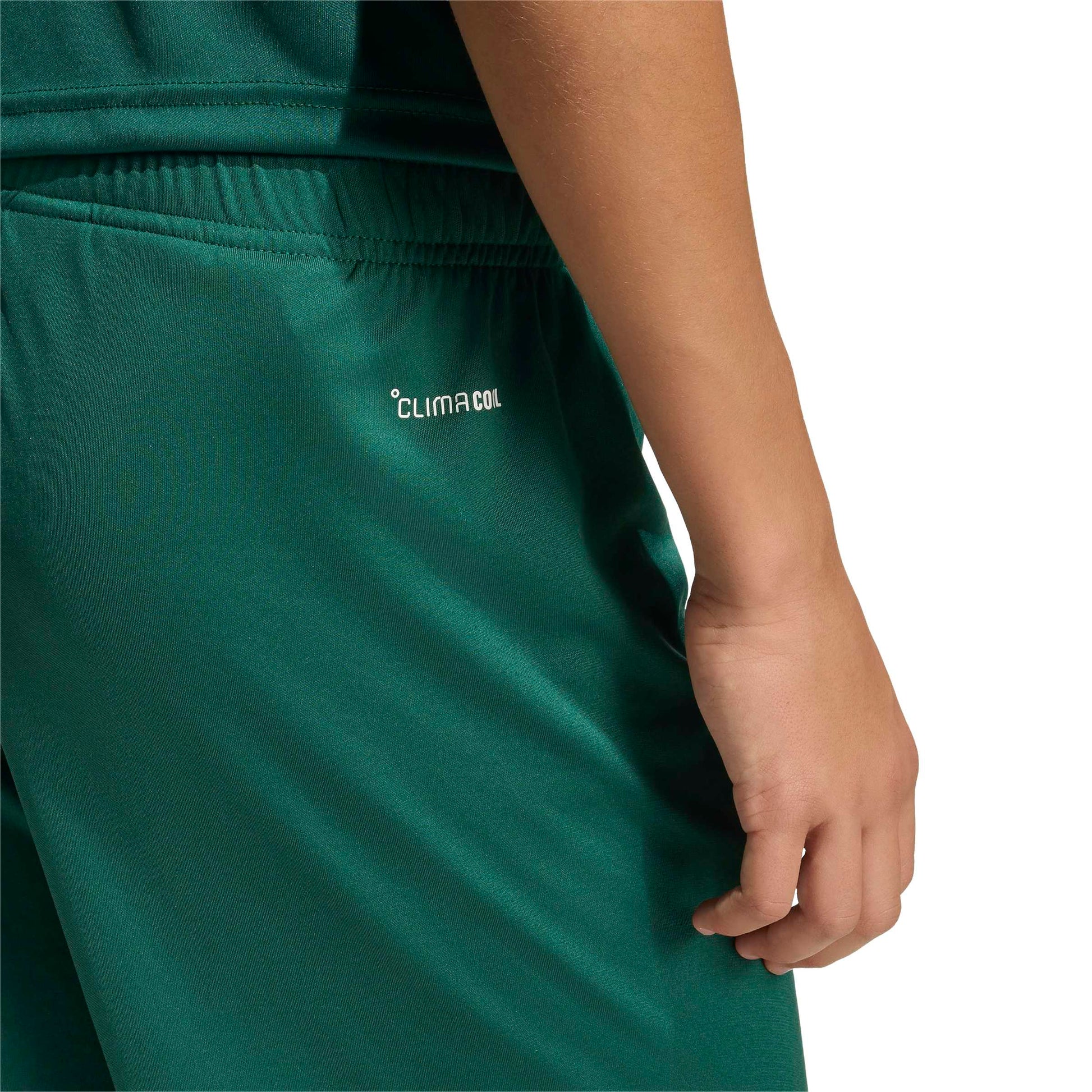 Team Dark Green/White