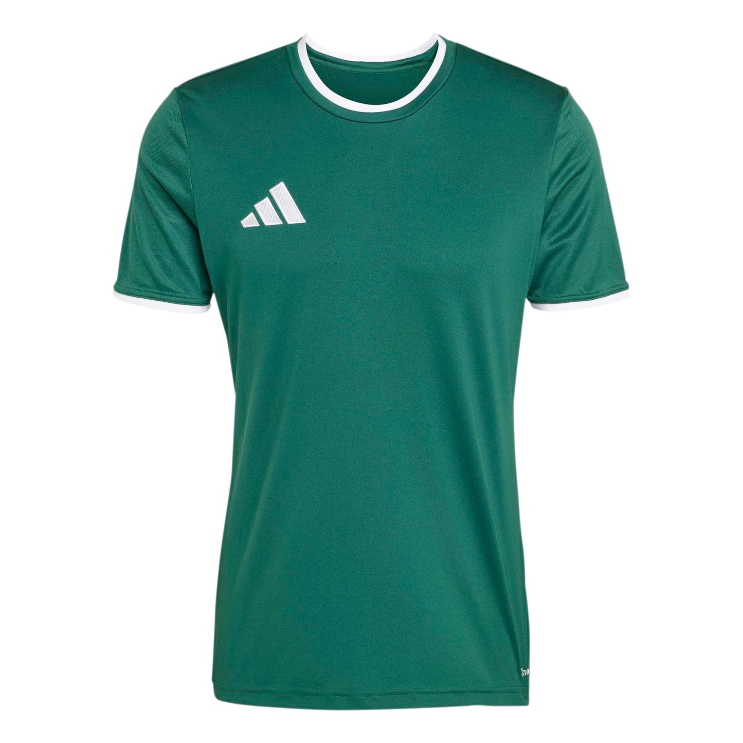 Team Dark Green/White