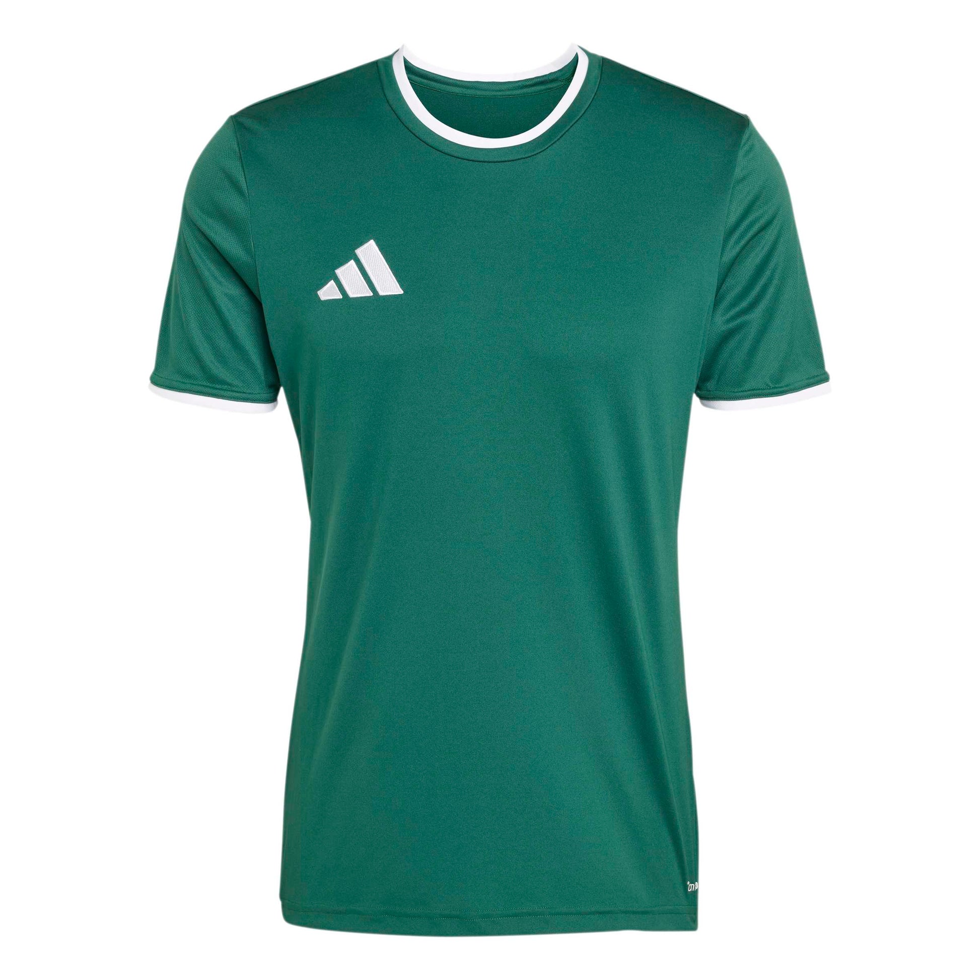Team Dark Green/White