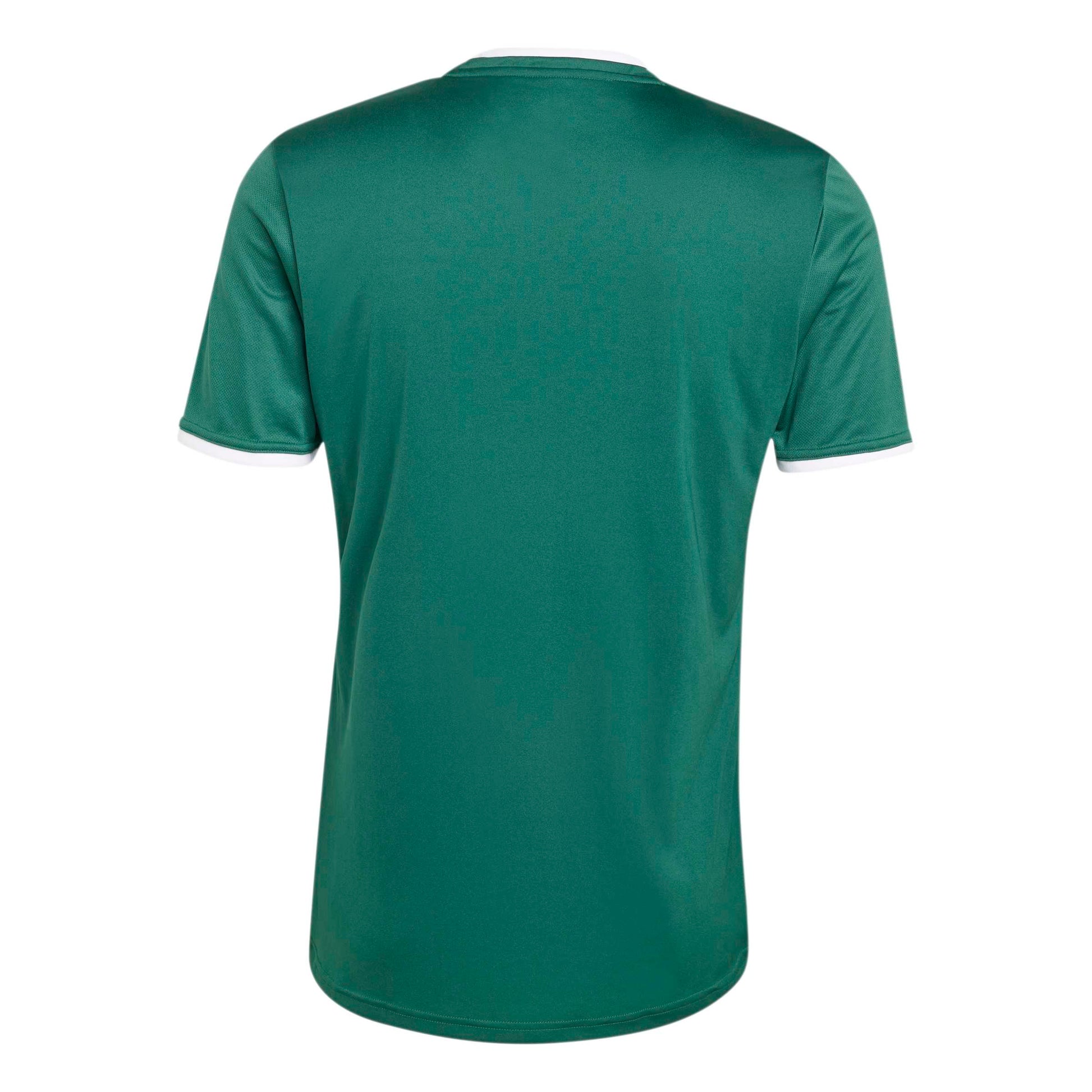 Team Dark Green/White