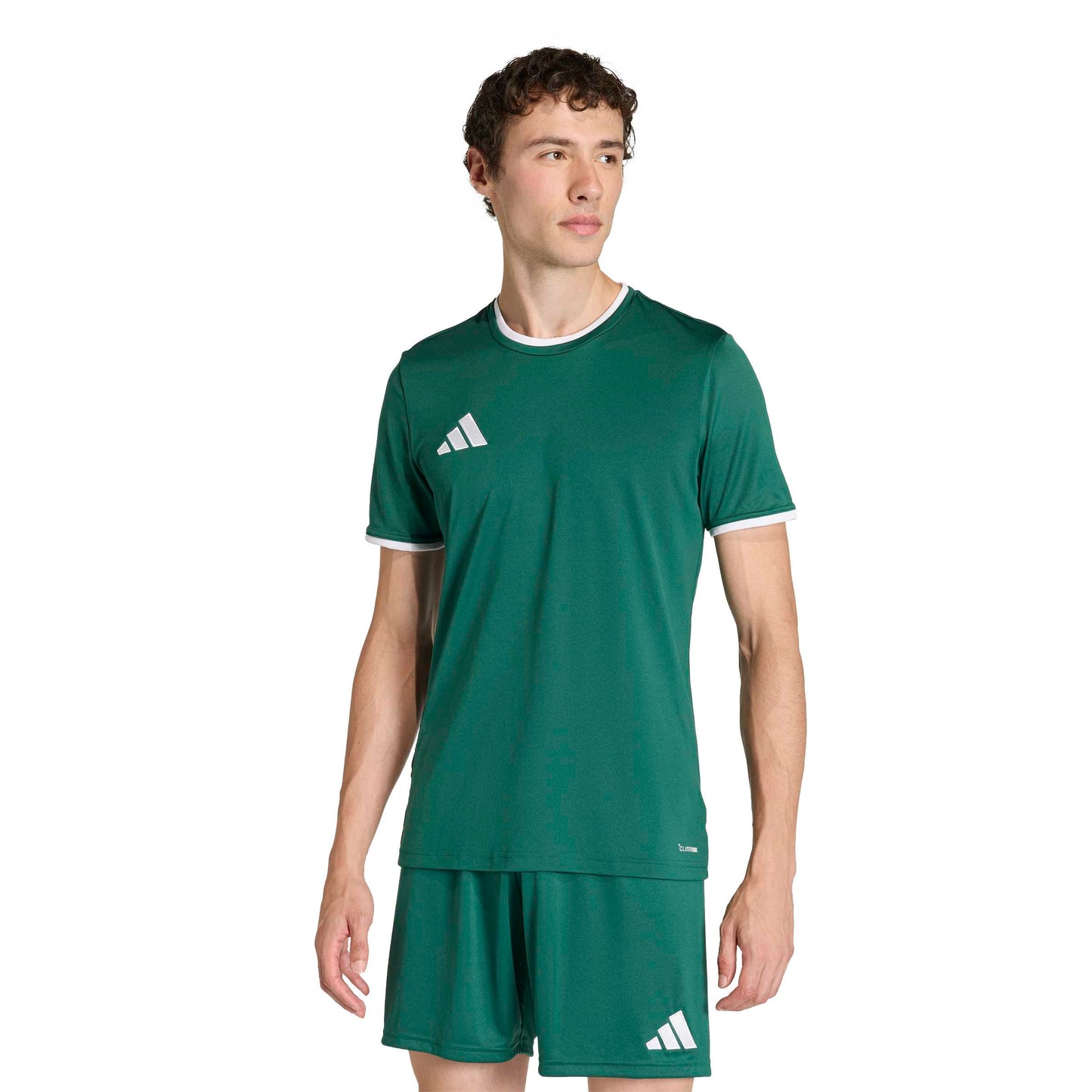 Team Dark Green/White