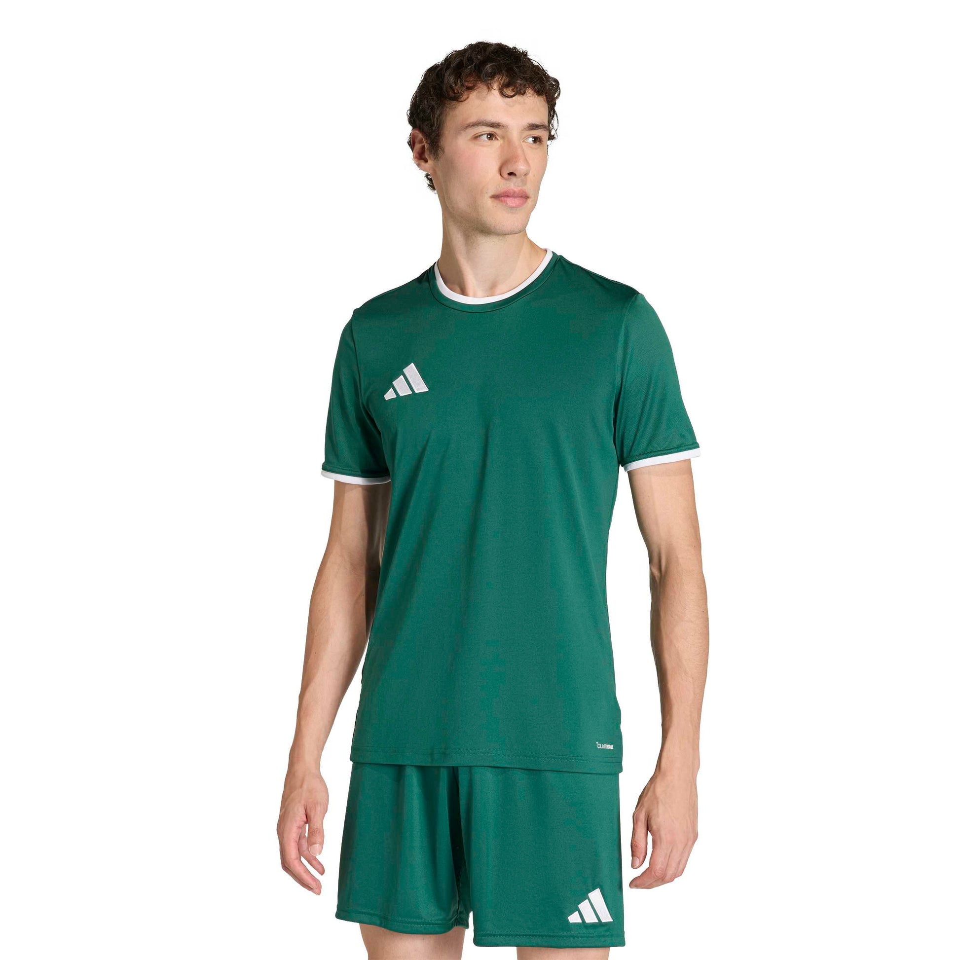 Team Dark Green/White