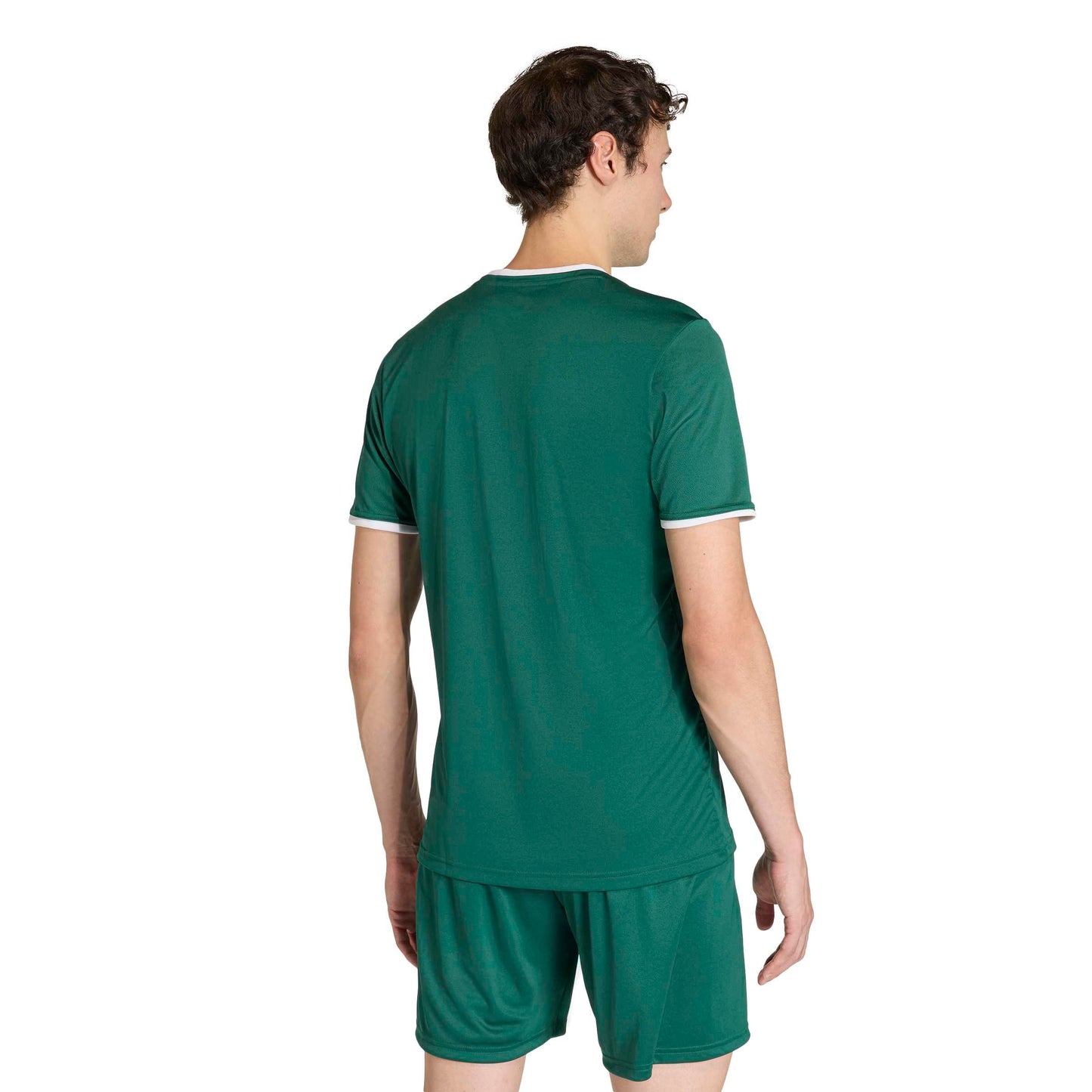 Team Dark Green/White