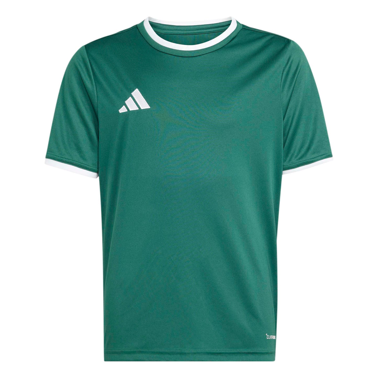 Team Dark Green/White