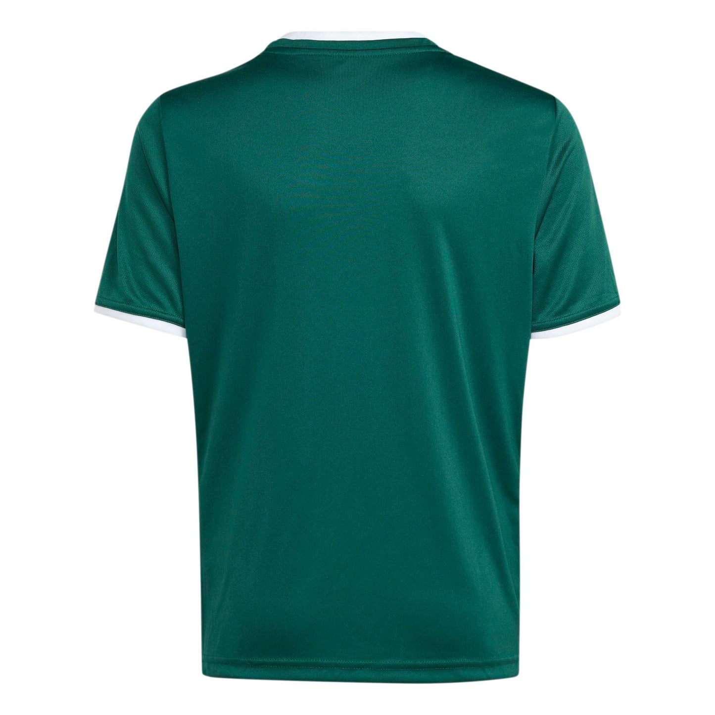 Team Dark Green/White