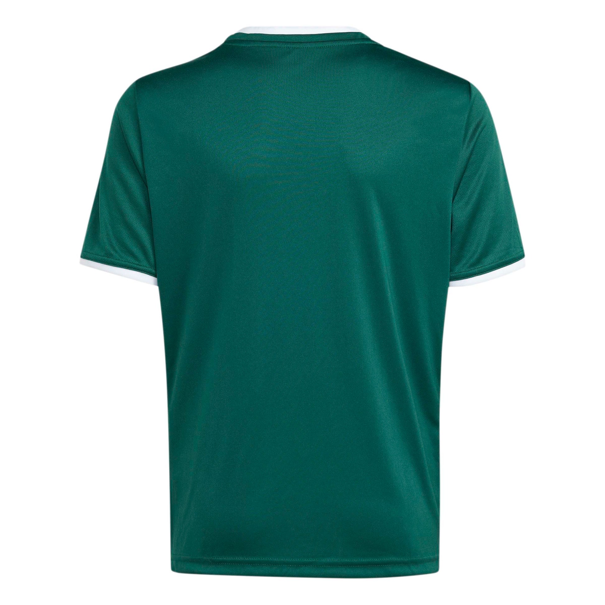 Team Dark Green/White