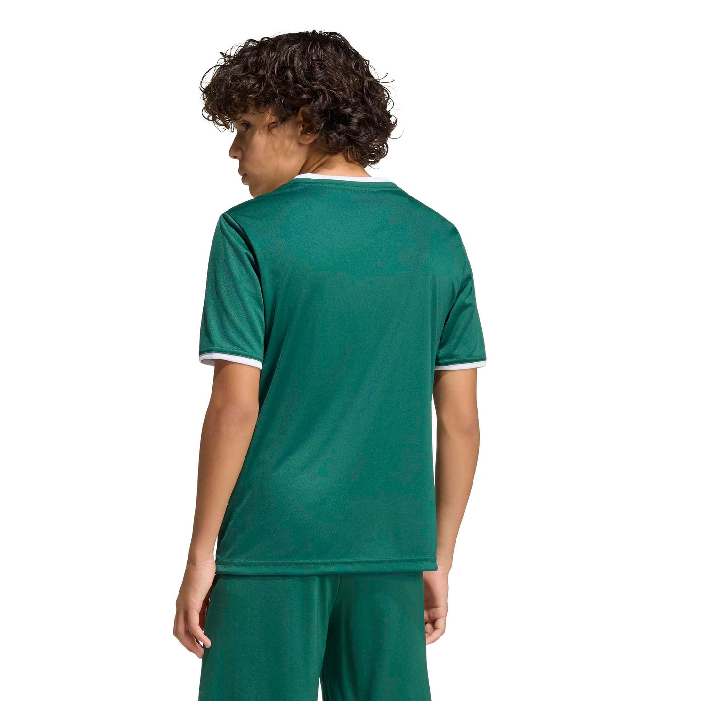 Team Dark Green/White