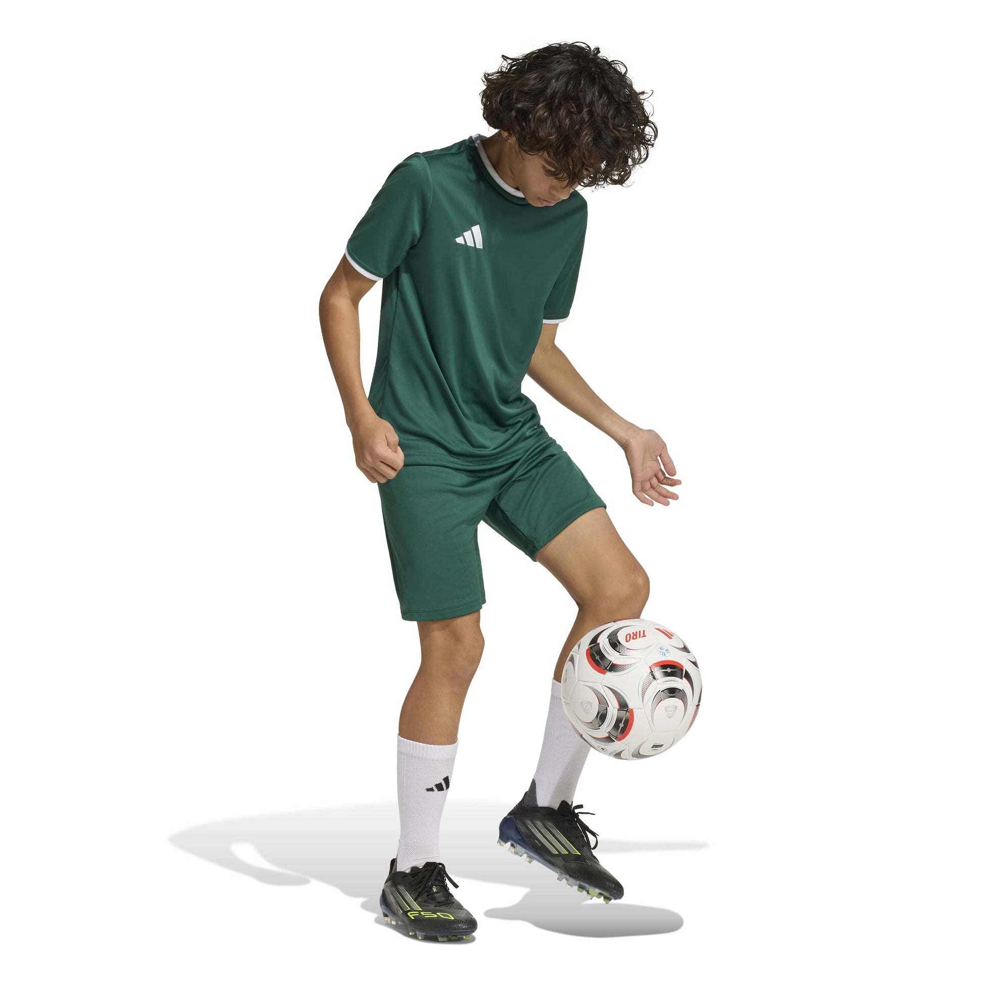 Team Dark Green/White