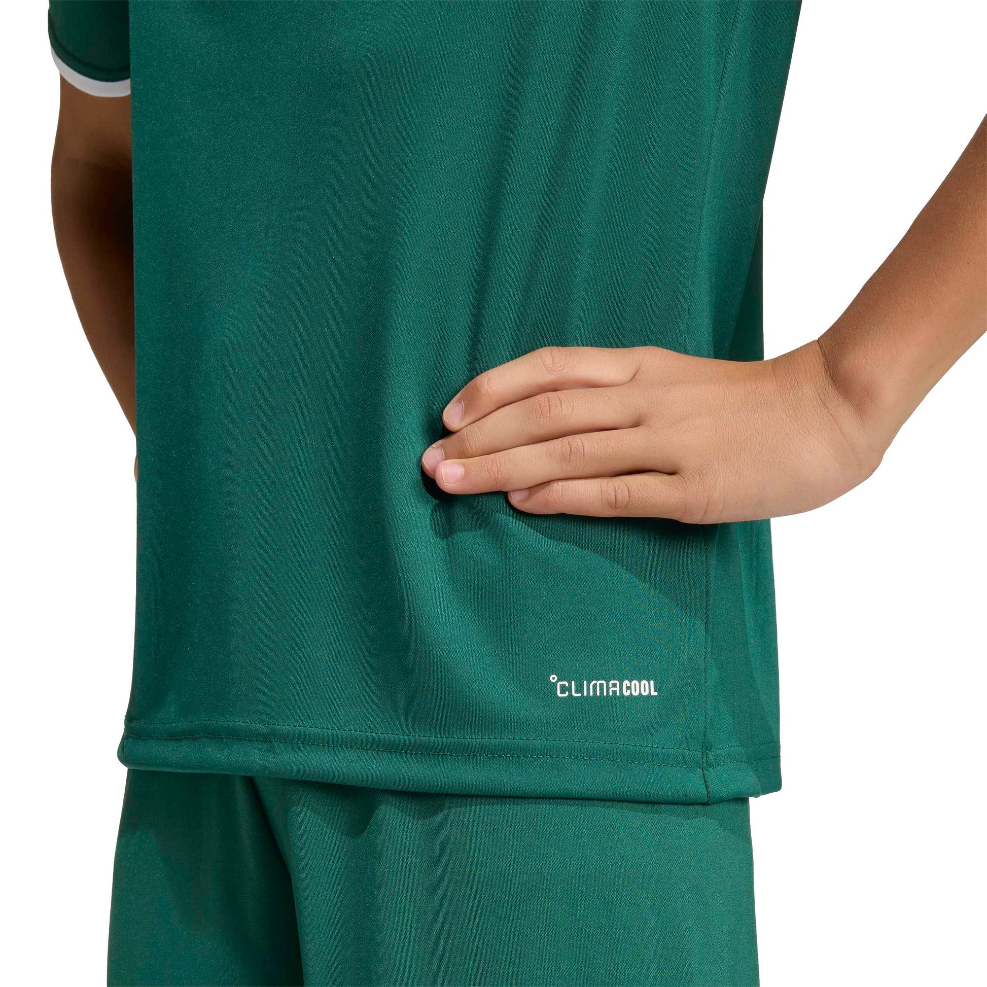 Team Dark Green/White