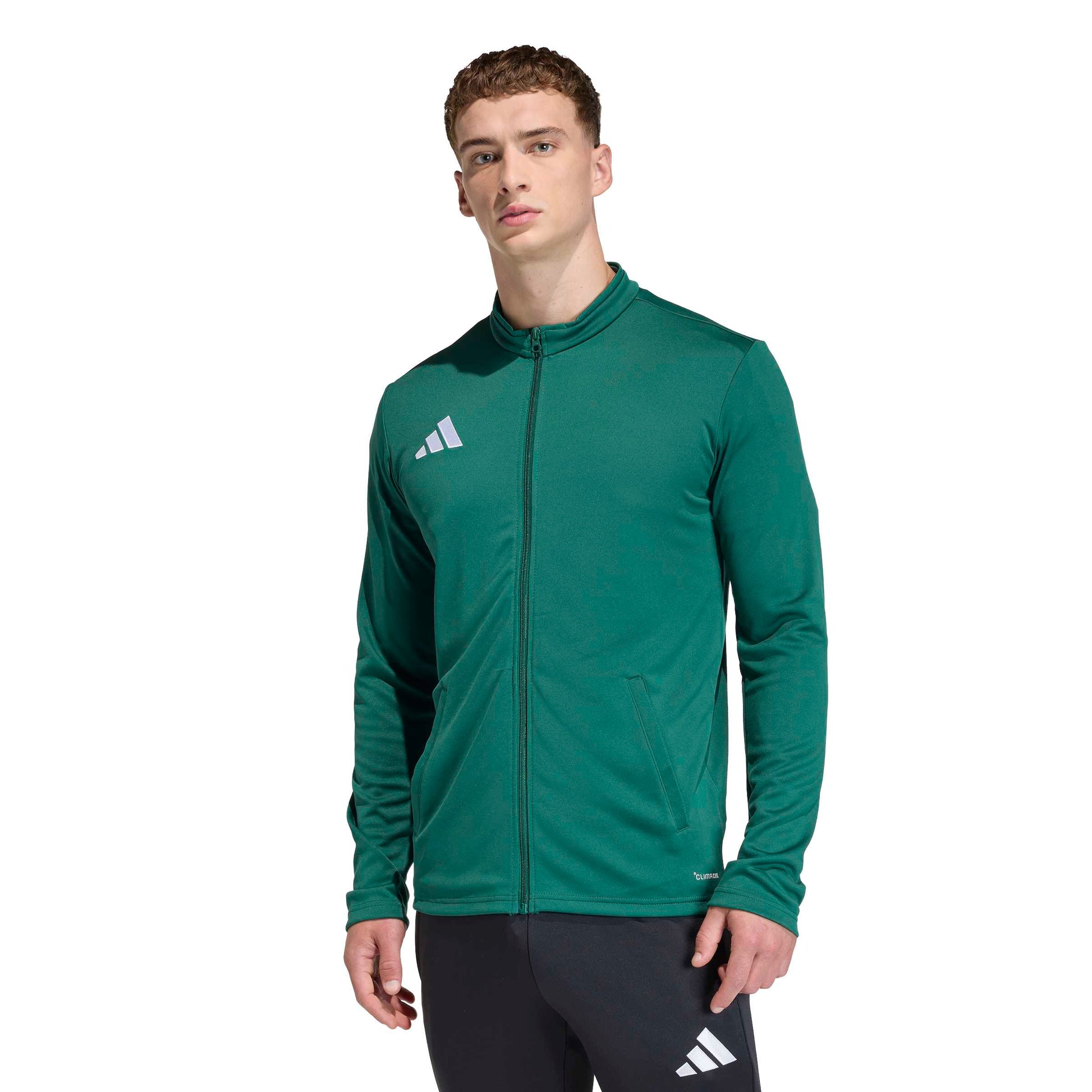 Team Dark Green/White