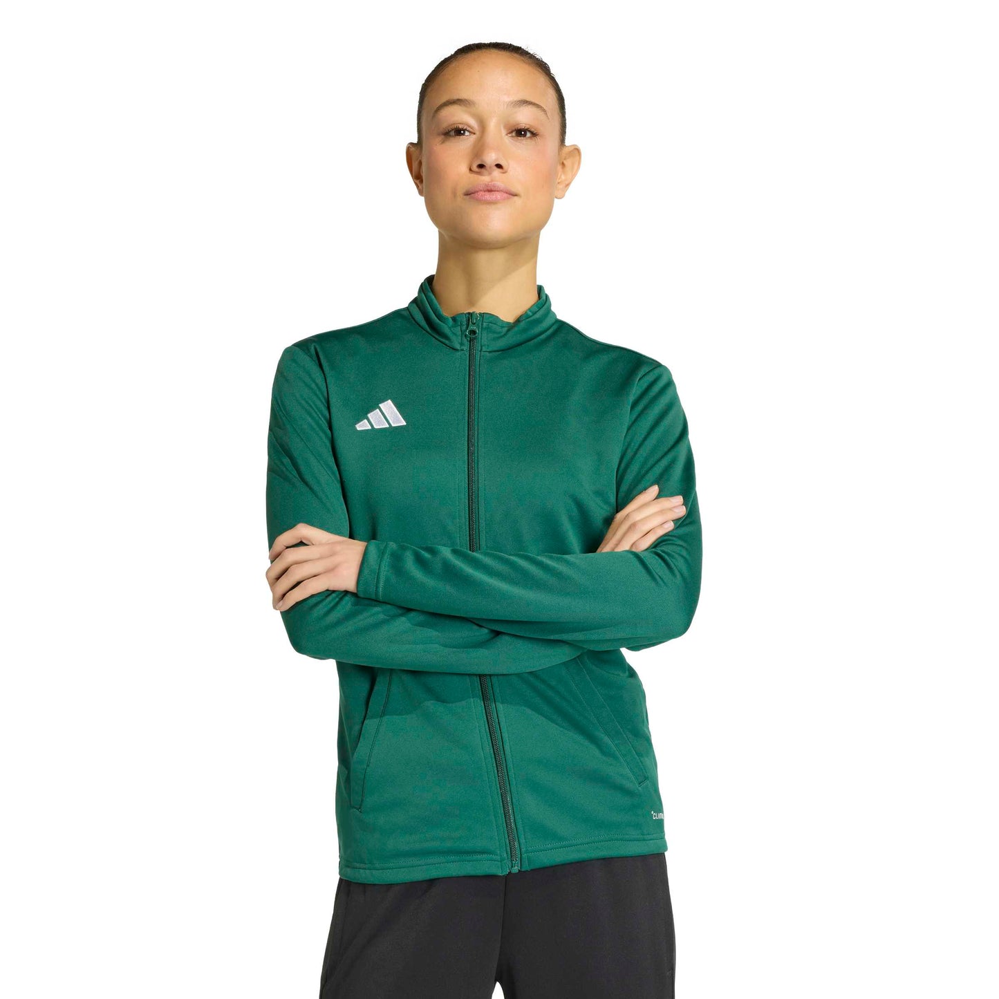 Team Dark Green/White